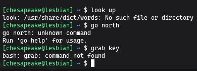 various failed commands in a linux terminal "look up" "go north" "grab key"