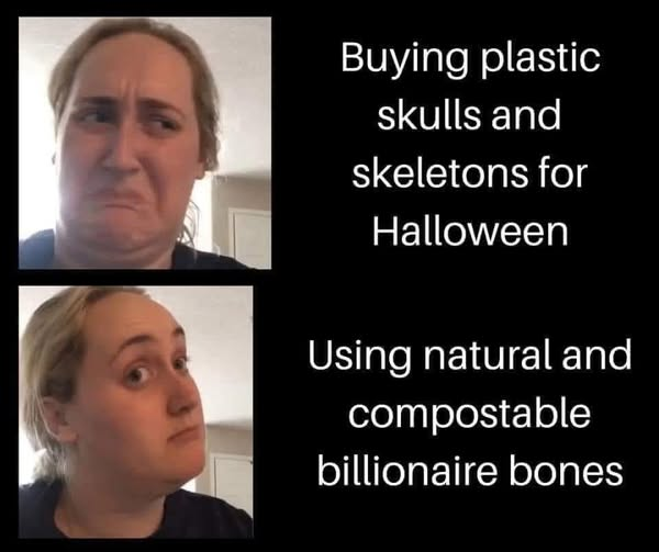 A two-panel meme template featuring Brittany Broski (known as "Kombucha Girl") expressing disapproval and approval alongside text:    Top Panel: Image: Brittany Broski making a grimacing, disgusted facial expression.   Text: "Buying plastic skulls and skeletons for Halloween"    Bottom Panel: Image: Brittany Broski looking thoughtful and intrigued, nodding slightly.    Text: "Using natural and compostable billionaire bones"