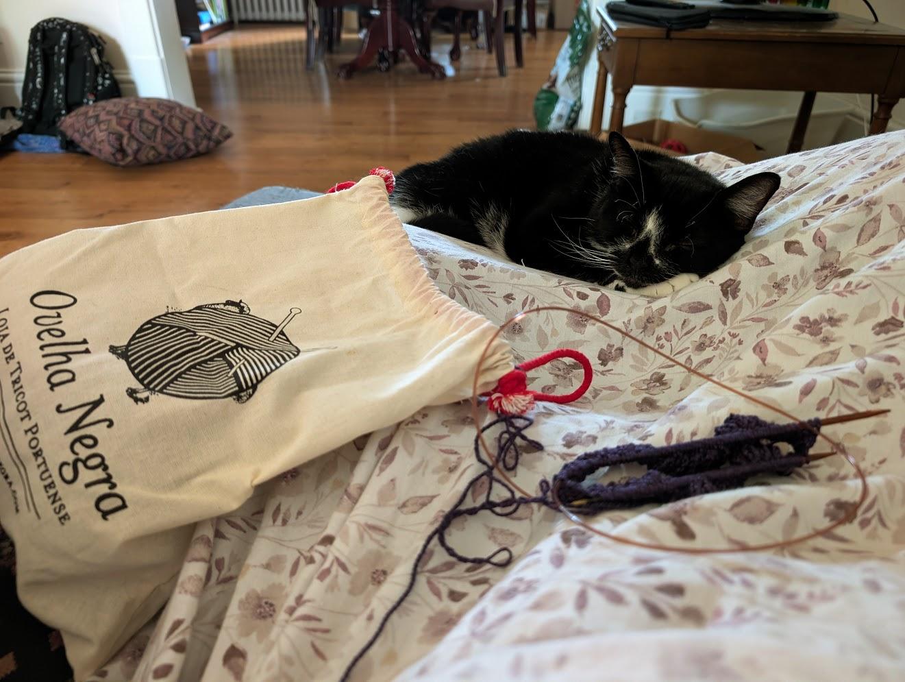 A black and white cat sleeping on a sheet with a purple floral pattern in front of circular needles with a knitting project on it, and a project bag from a Portuguese yarn shop.