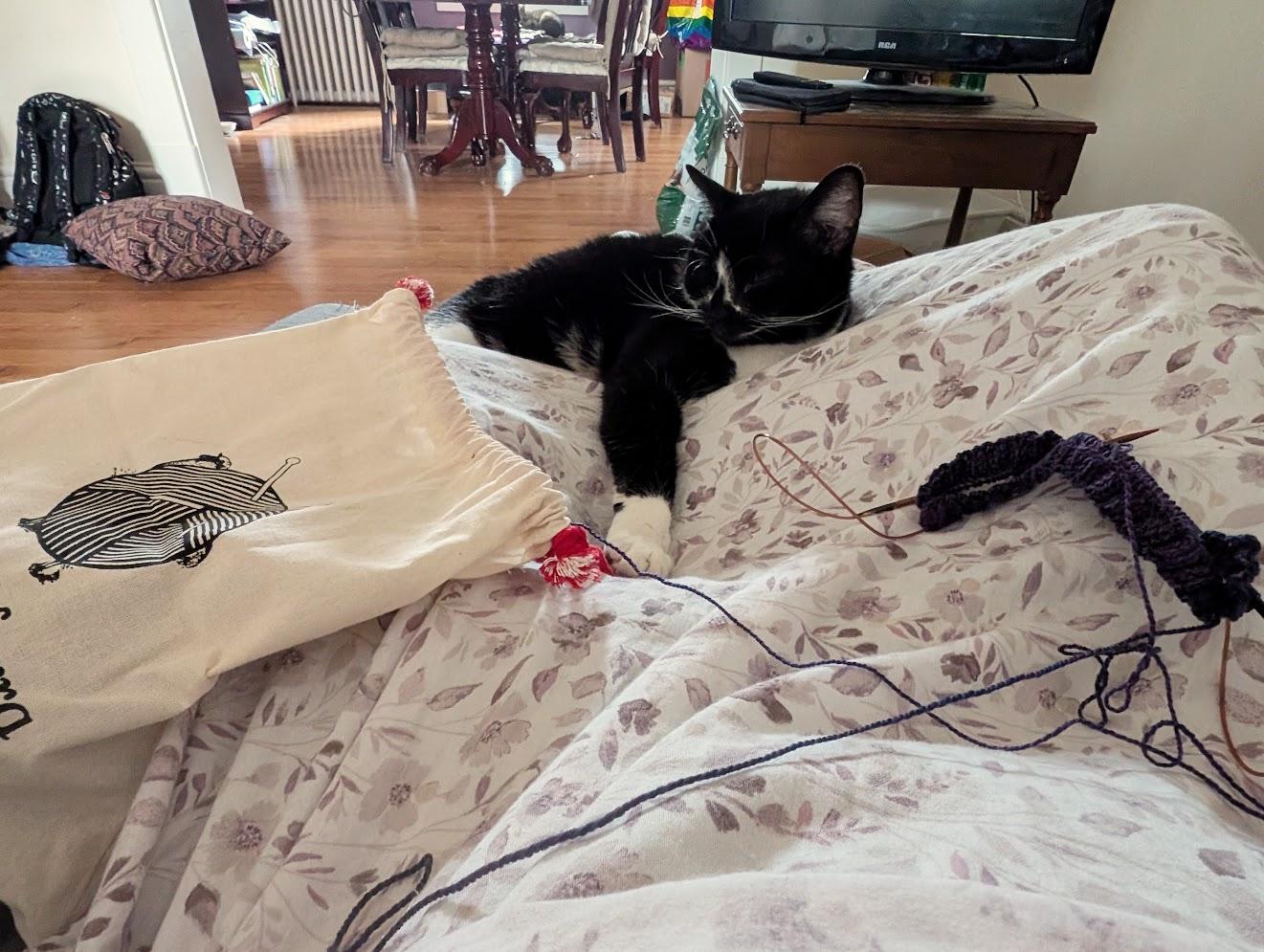 A black and white cat sitting on a purple floral sheet reaching out and touching a project bag with a work in progress knitting project.