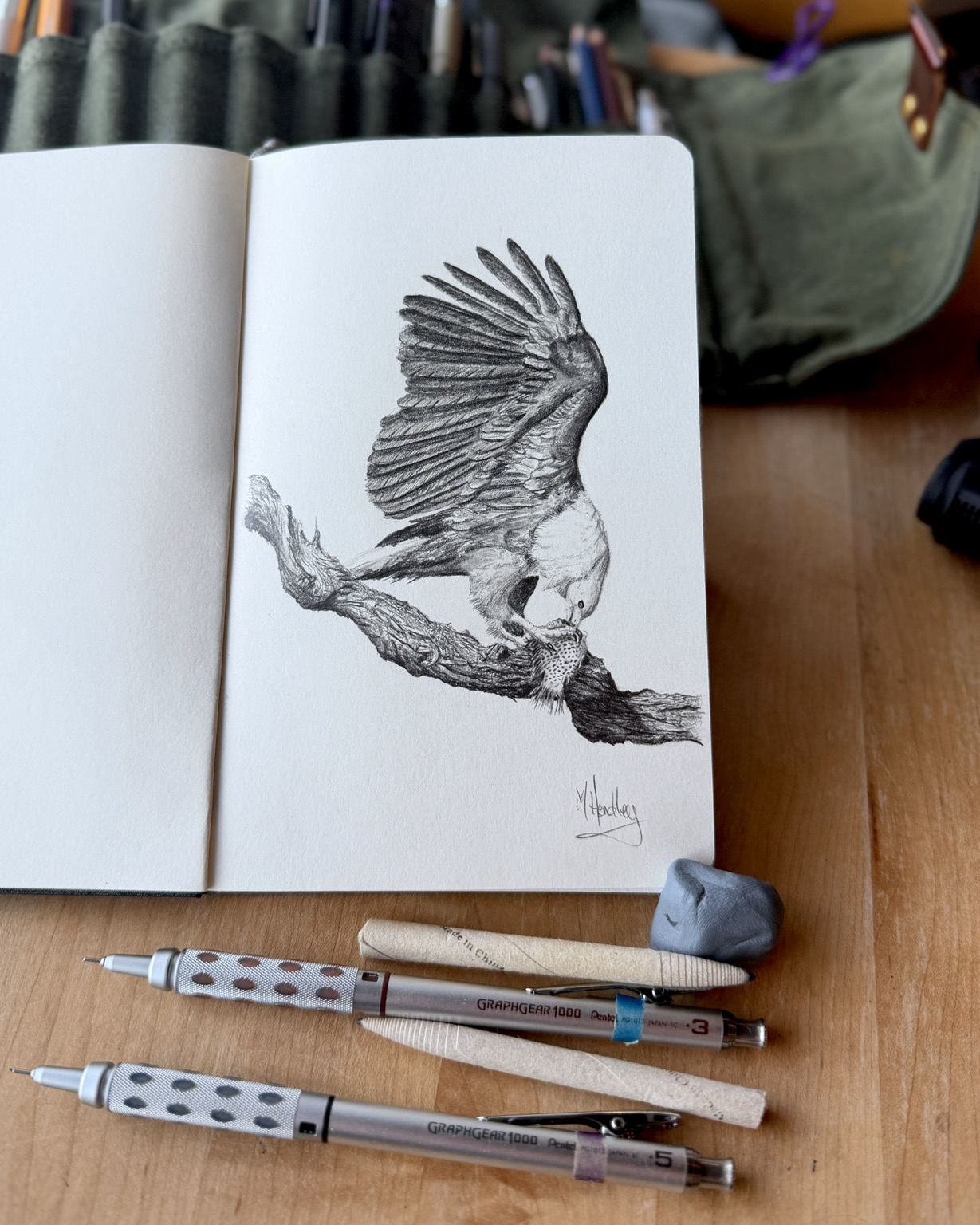Graphite drawing in an open sketchbook of an African fish eagle perched on a weathered branch, one wing raised high, head bent down to a spotted fish held in its talons. Below the book sit two Pentel GraphGear 1000 pencils, two blending stumps and a lump of Blu-Tack.