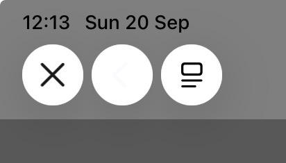 A sceenshot from an iPad showing three buttons. One of them is blank