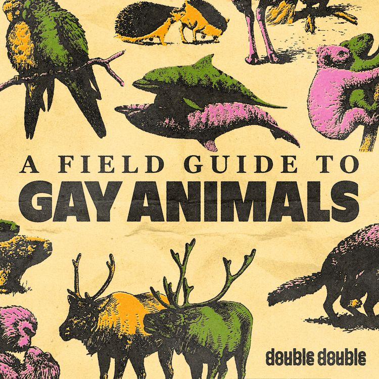 A cover of a book, A Field Guide to Gay Animals, with different animals in pairs around the text.