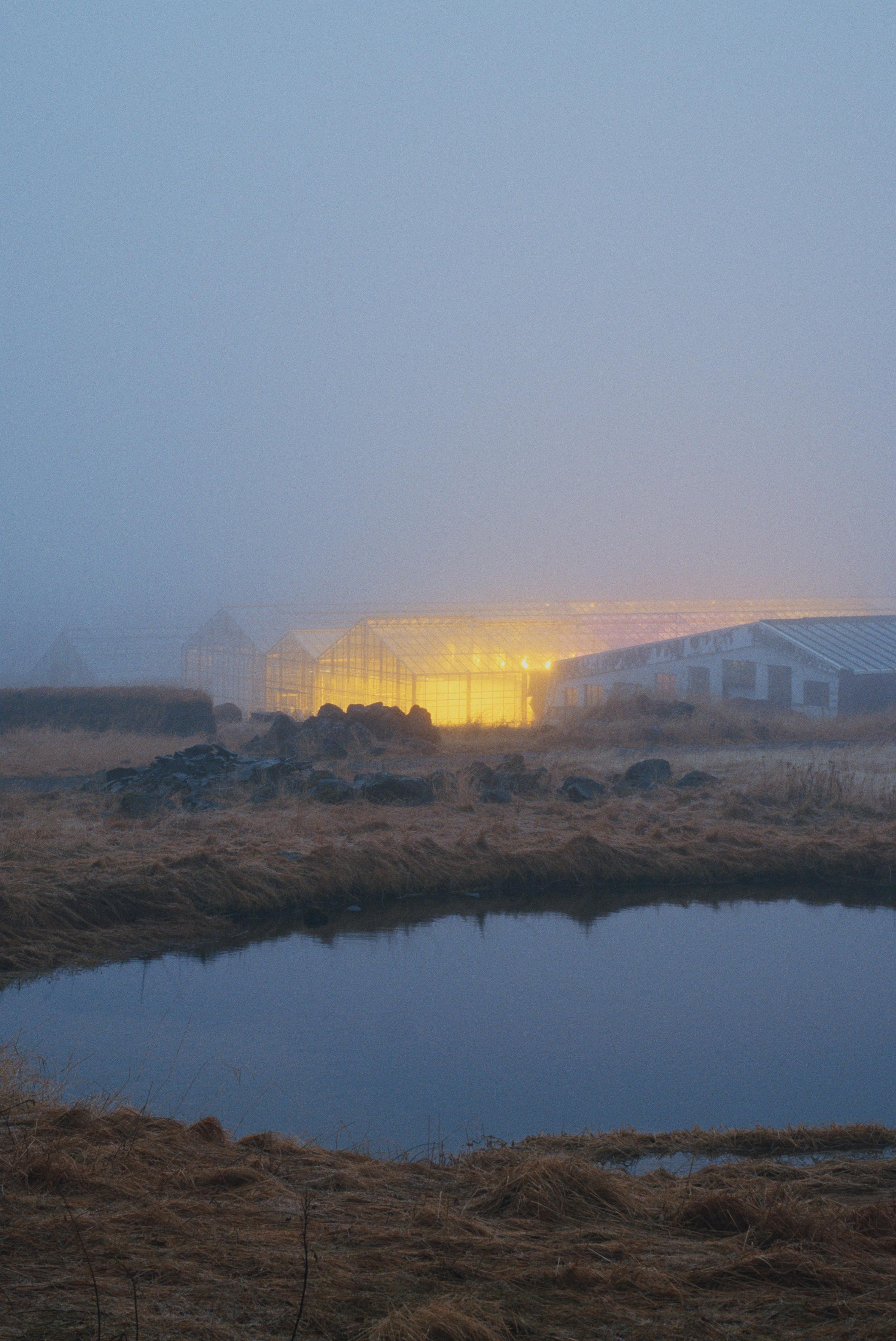 The greenhouses by the horticultural school, lighting up the fog, and their little pond in the foreground