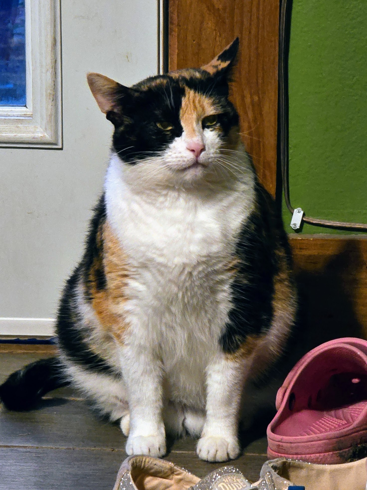 Lest I only post about the bad things happening this week, here's a picture of a smirking cat. I don't know what's she's thinking about, but she's up to someth…