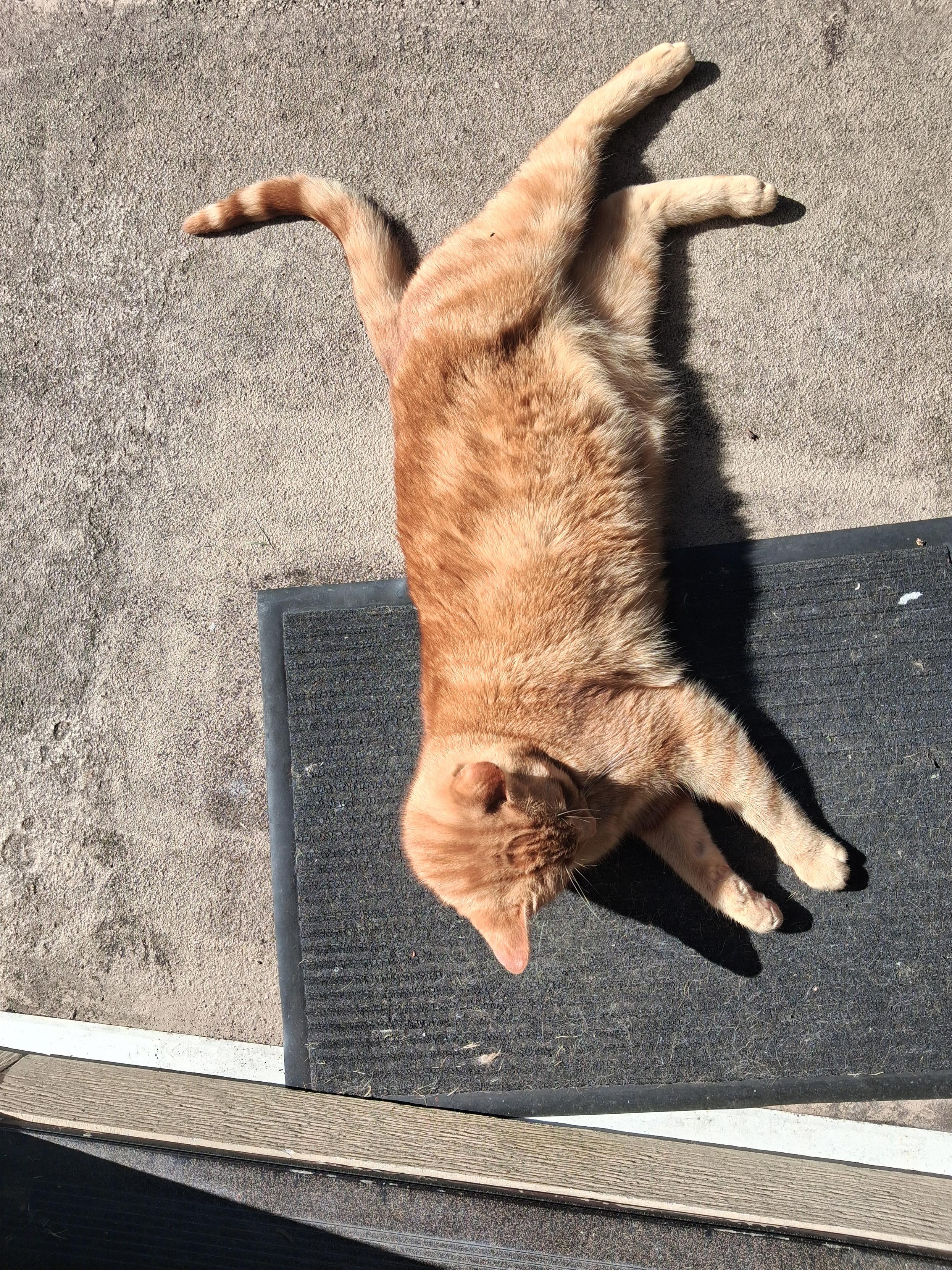 Note to self: Check for tripping hazard before stepping out the door.