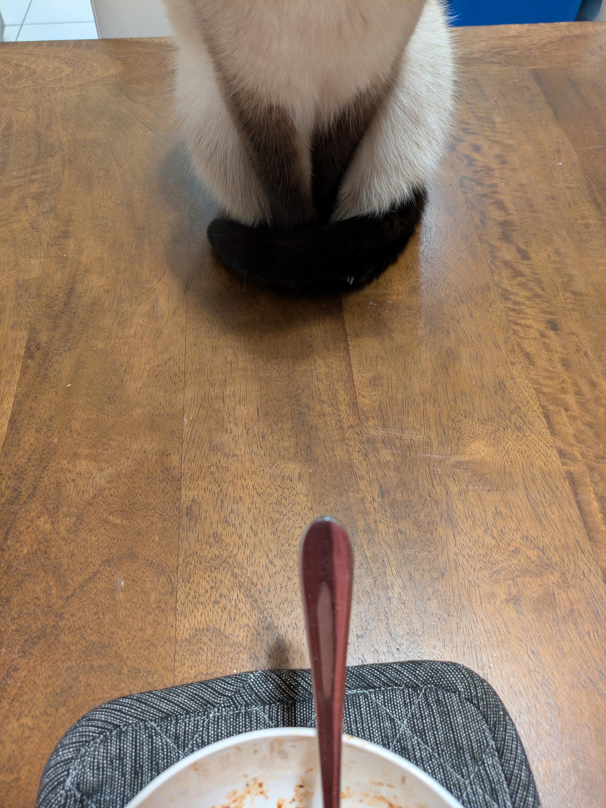 A recent study revealed that 100% of housecats really like having dinner. The method is peer-reviewed and results seem very reproducible (P < 0.05). Furthermor…