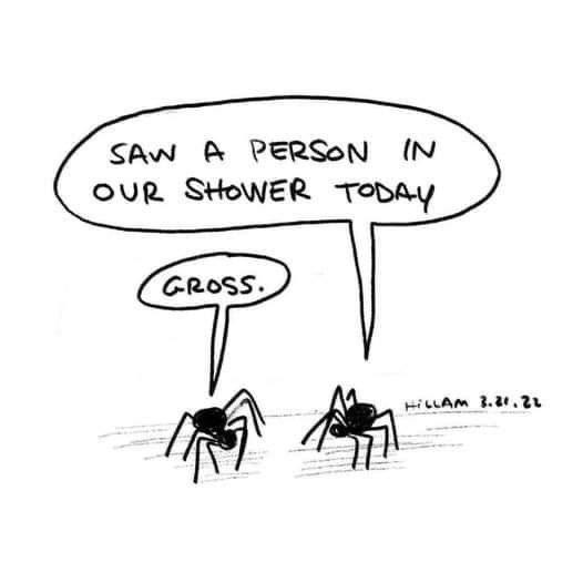 spider1: saw a person in our shower today spider2: gross