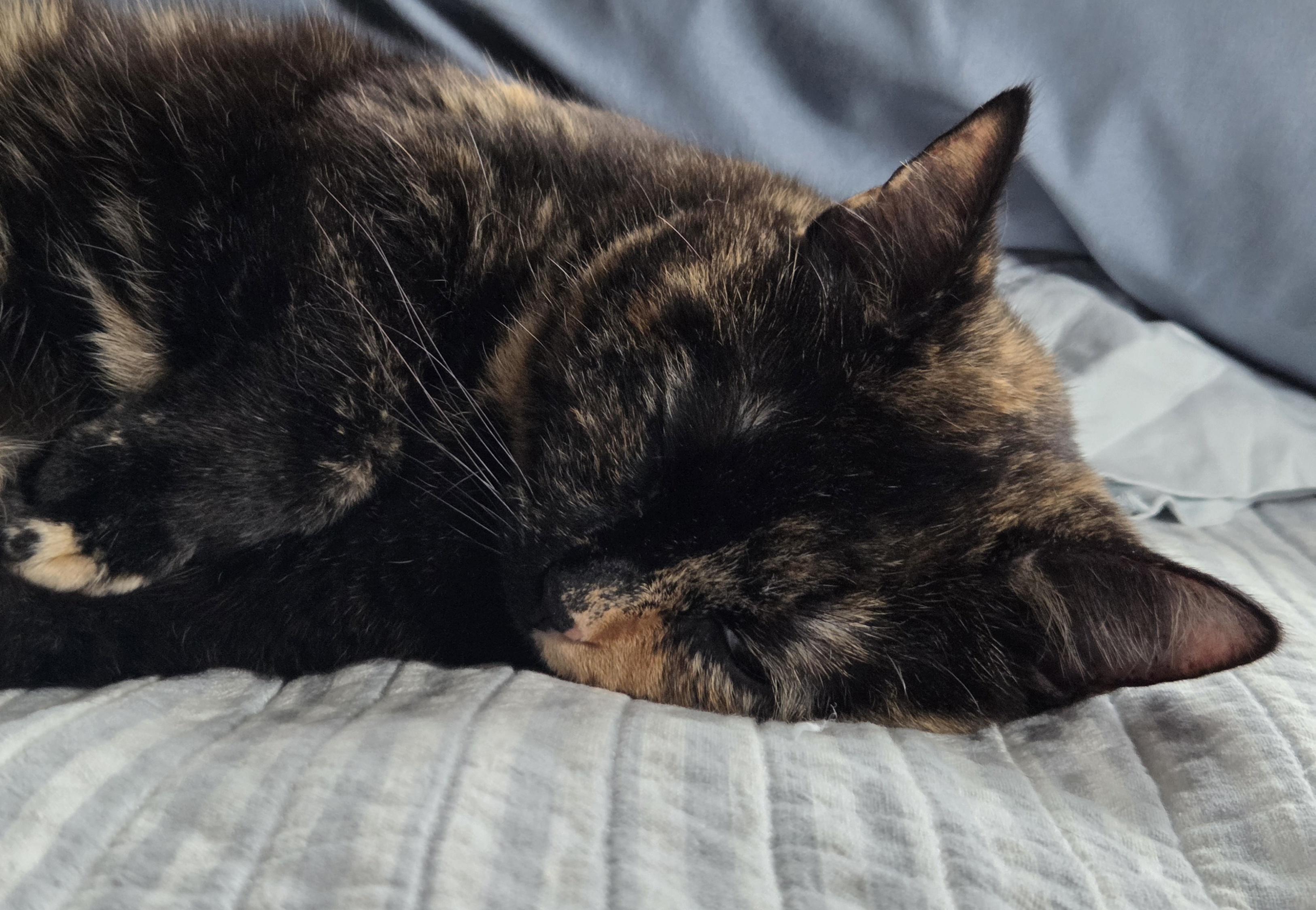 Go back to bed.