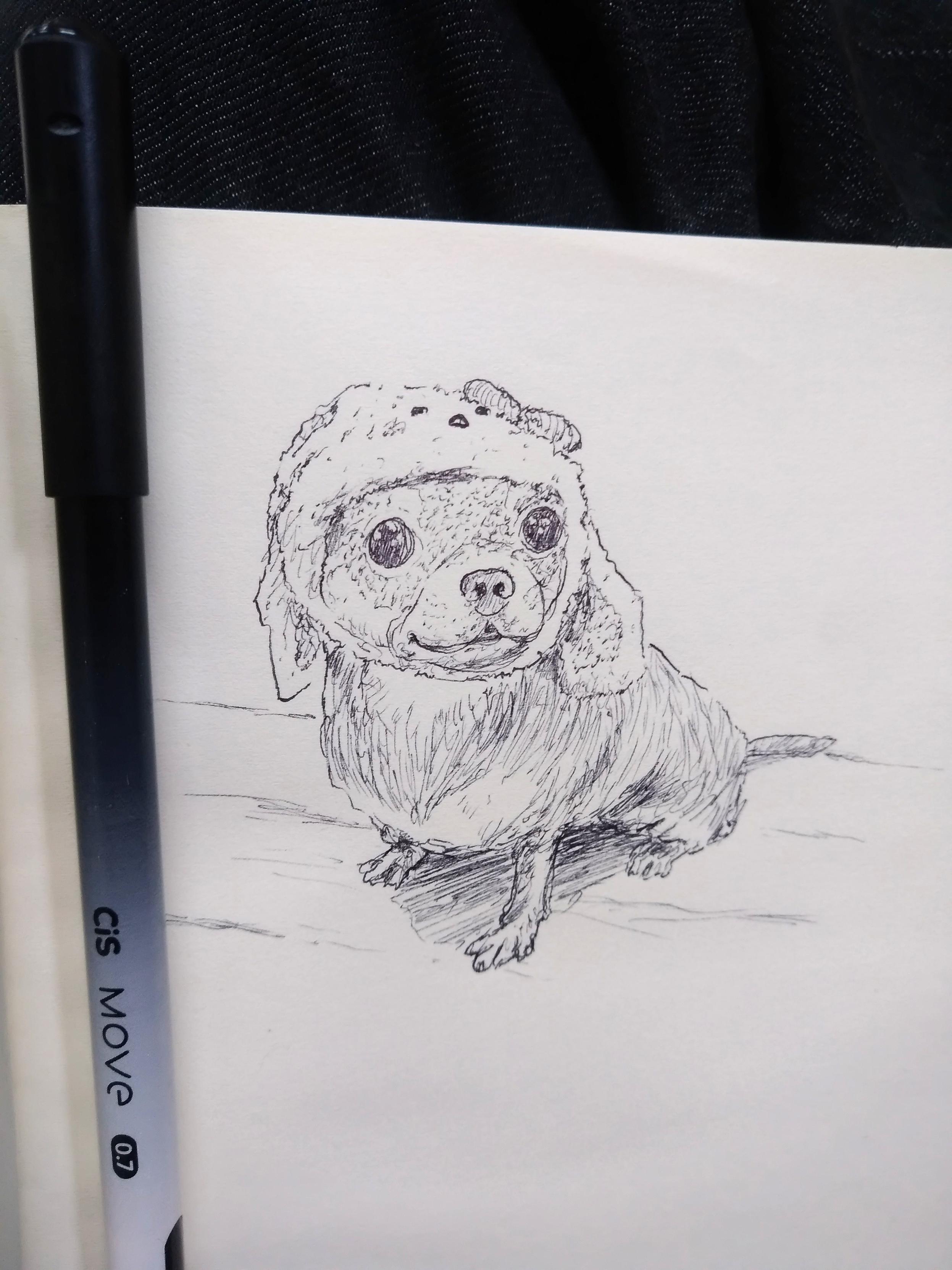 Drawing from a week or so ago, I had to kill some time and drew this photo that my partner sent to me a while ago, it's probably from reddit, but we don't reme…
