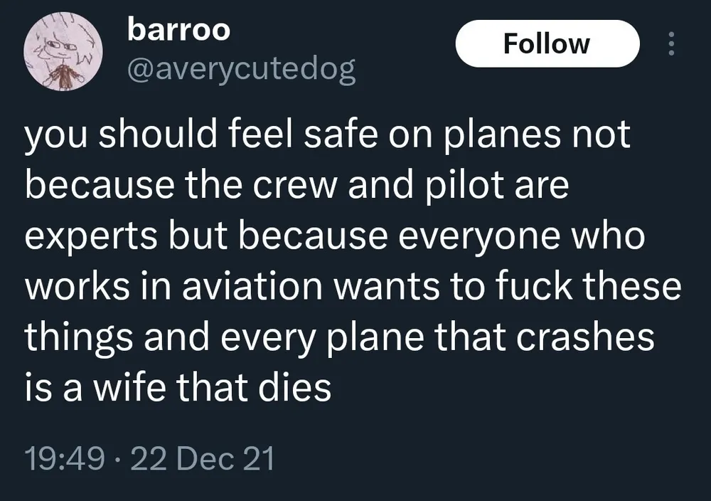 barroo  @averycutedog you should feel safe on planes not because the crew and pilot are experts but because everyone who works in aviation wants to fuck these things and every plane that crashes is a wife that dies 19:49 - 22 Dec 21
