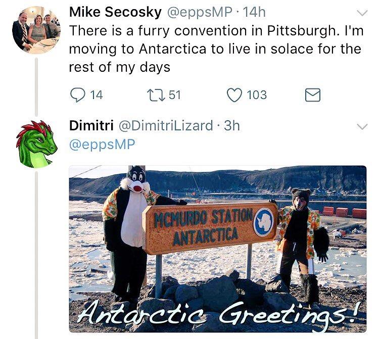 There are furry in Antarctica