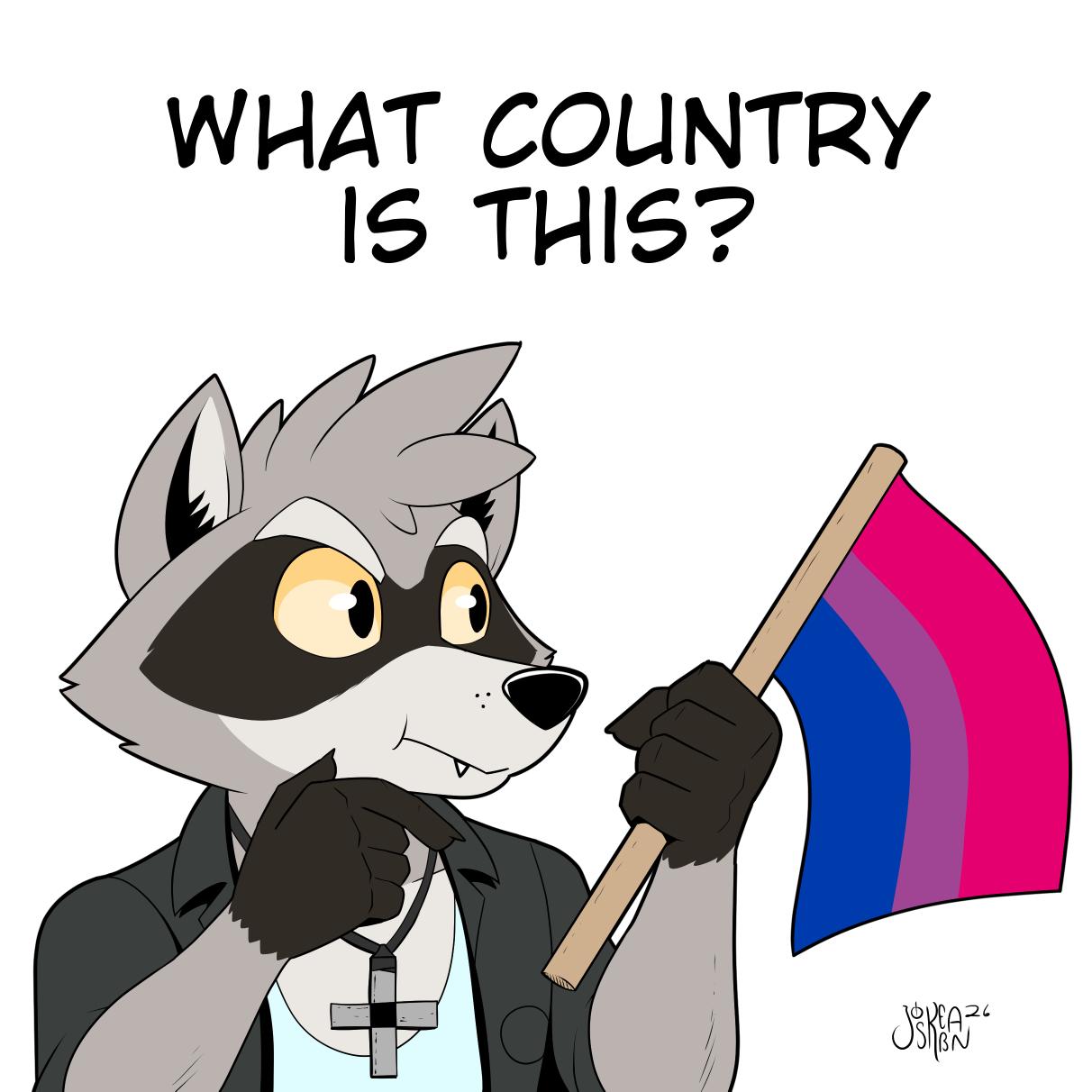 A raccoon holding a bisexual flag wondering what country it represents