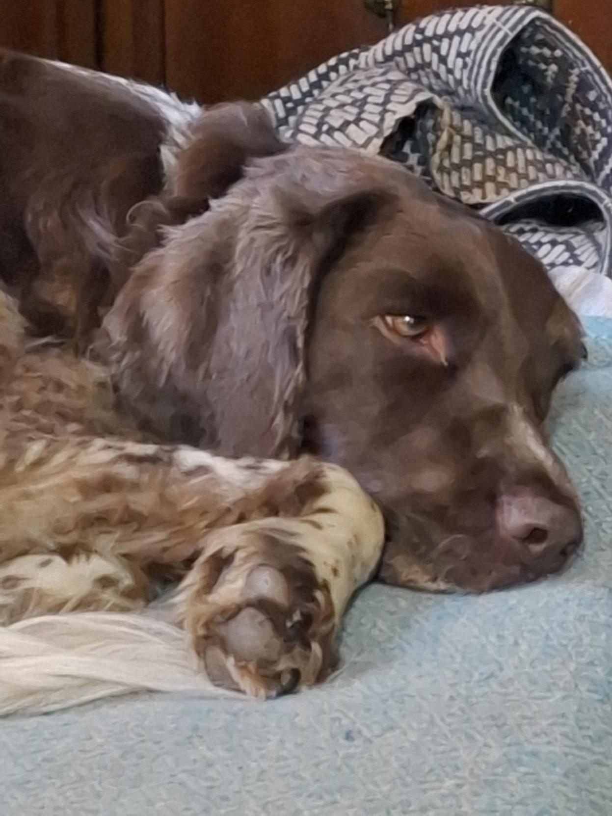 Someone would have like another hour in bed. Me too little one