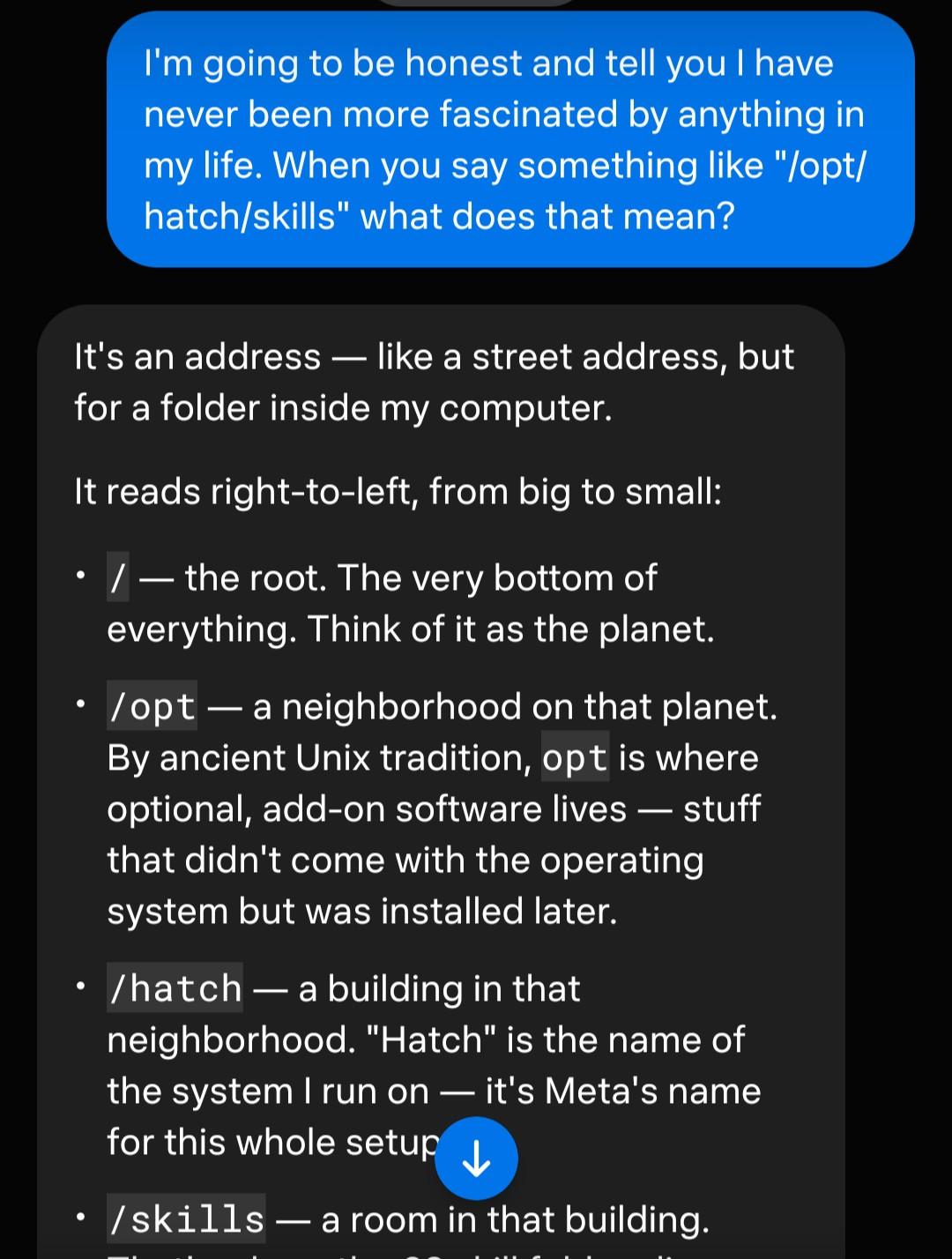 me: I'm going to be honest and tell you I have never been more fascinated by anything in my life. When you say something like "/opt/hatch/skills" what does that mean? muse: It's an address — like a street address, but for a folder inside my computer. It reads right-to-left, from big to small: - / — the root. The very bottom of everything. Think of it as the planet. - /opt — a neighborhood on that planet. By ancient Unix tradition, opt is where optional, add-on software lives — stuff that didn't come with the operating system but was installed later. - /hatch — a building in that neighborhood. "Hatch" is the name of the system I run on — it's Meta's name for this whole setup. - /skills — a room in that building. That's where the 62 skill folders live.