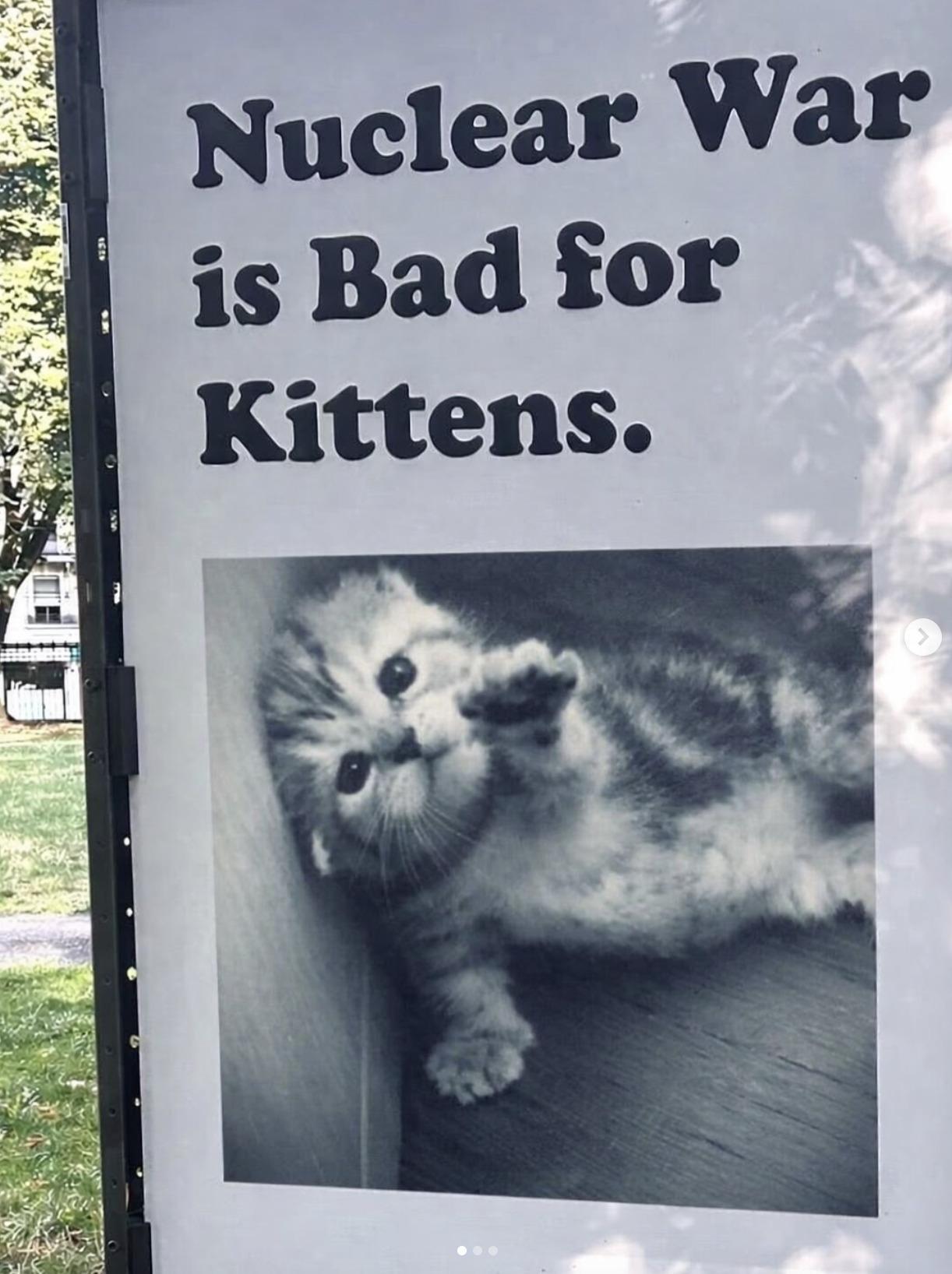 Just kittens? Surely, puppies too? And what about baby otters?