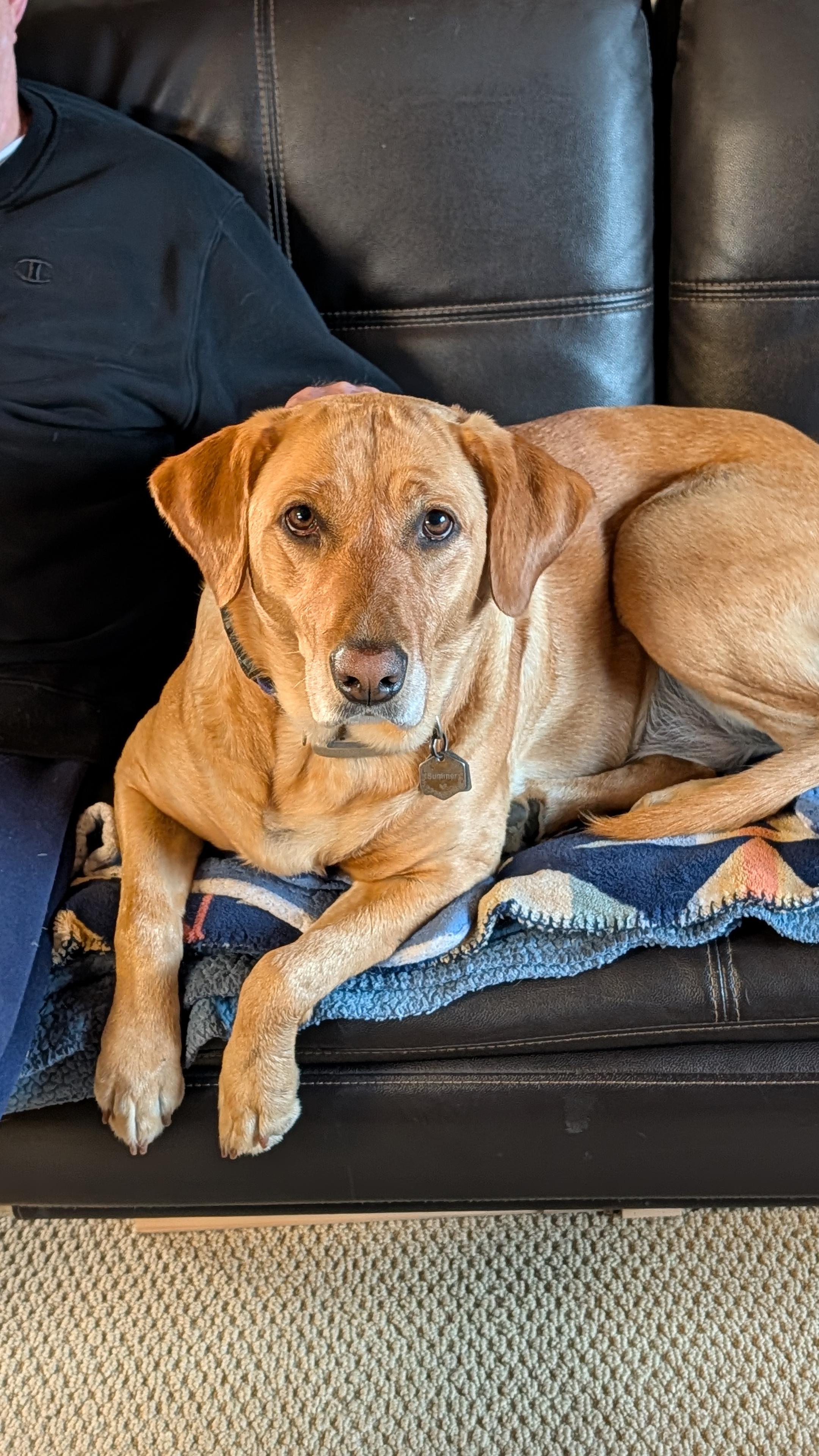 Summer and her pal are keeping me company while I flip blueberry flapjacks. I'm thinking about fall mornings I've stood and flipped hundreds of pancakes for ve…