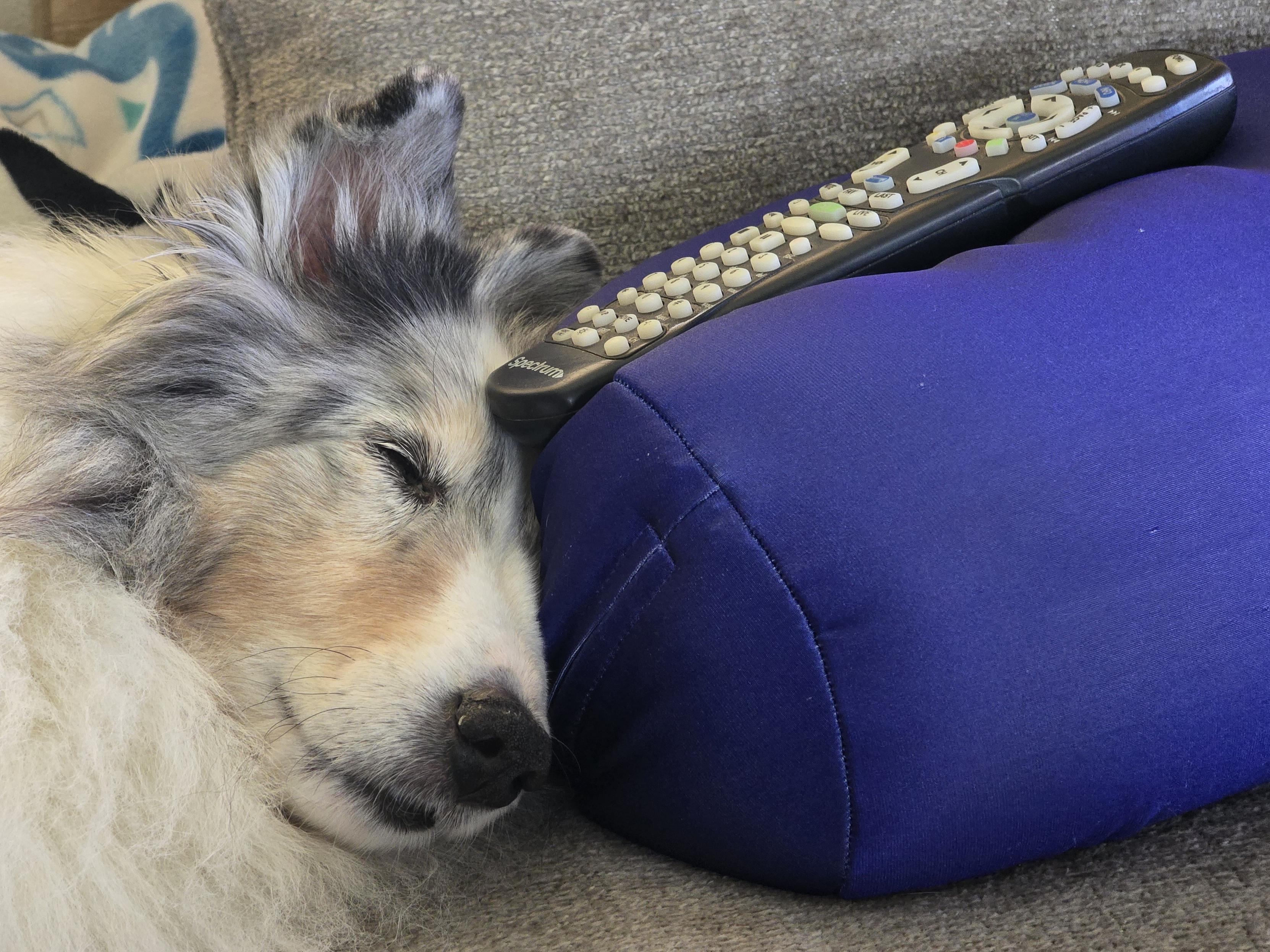 Couch potato.