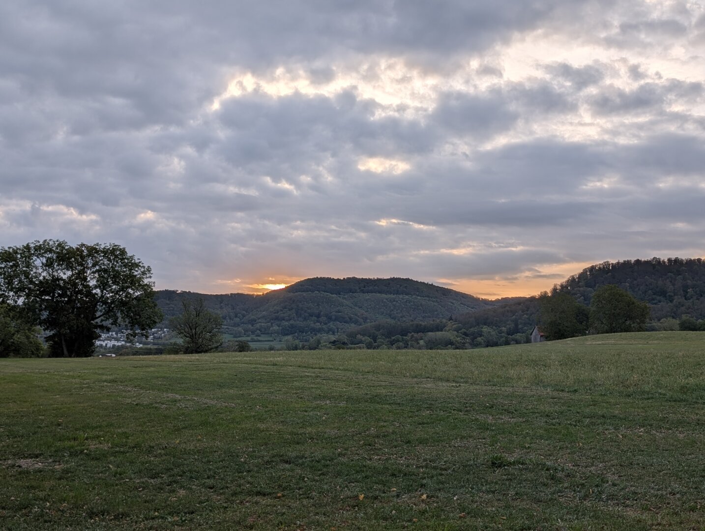 A long morning walk in the meadow – a sunrise like that is lovely, if only it didn’t mean the days are getting shorter. But never mind, it’s the same every yea…