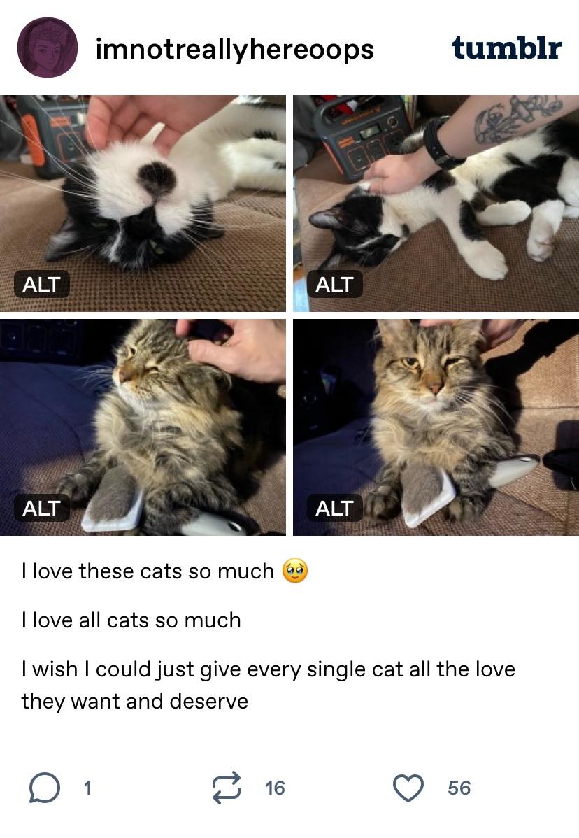 This is what tumblr fame feels like, eh? Splendid.