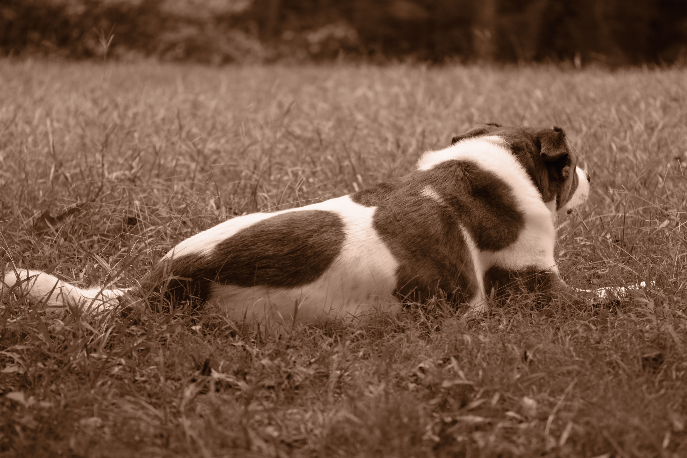 A very cool autumn day and I tried some film simulations for the occasion.