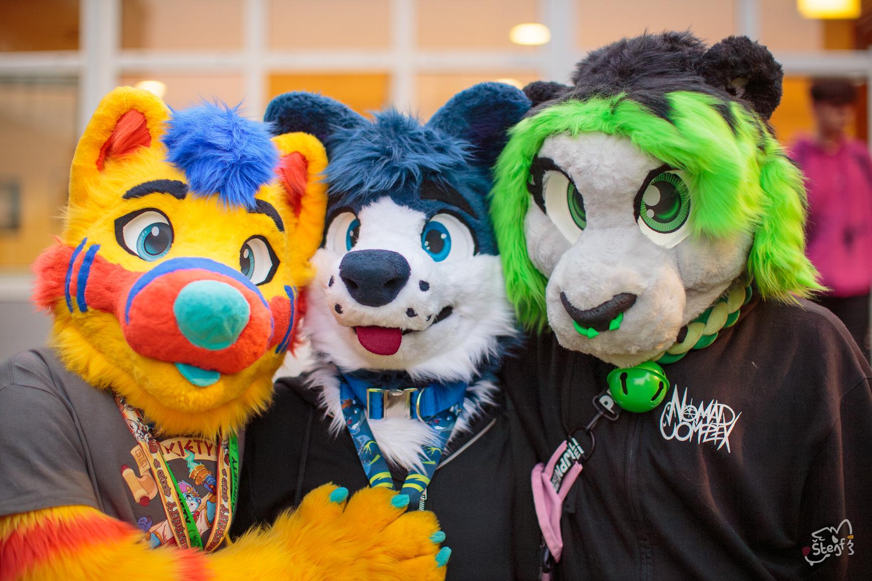 A photo taken during the Furciety meet, Oer-Erkenschwick May 2026