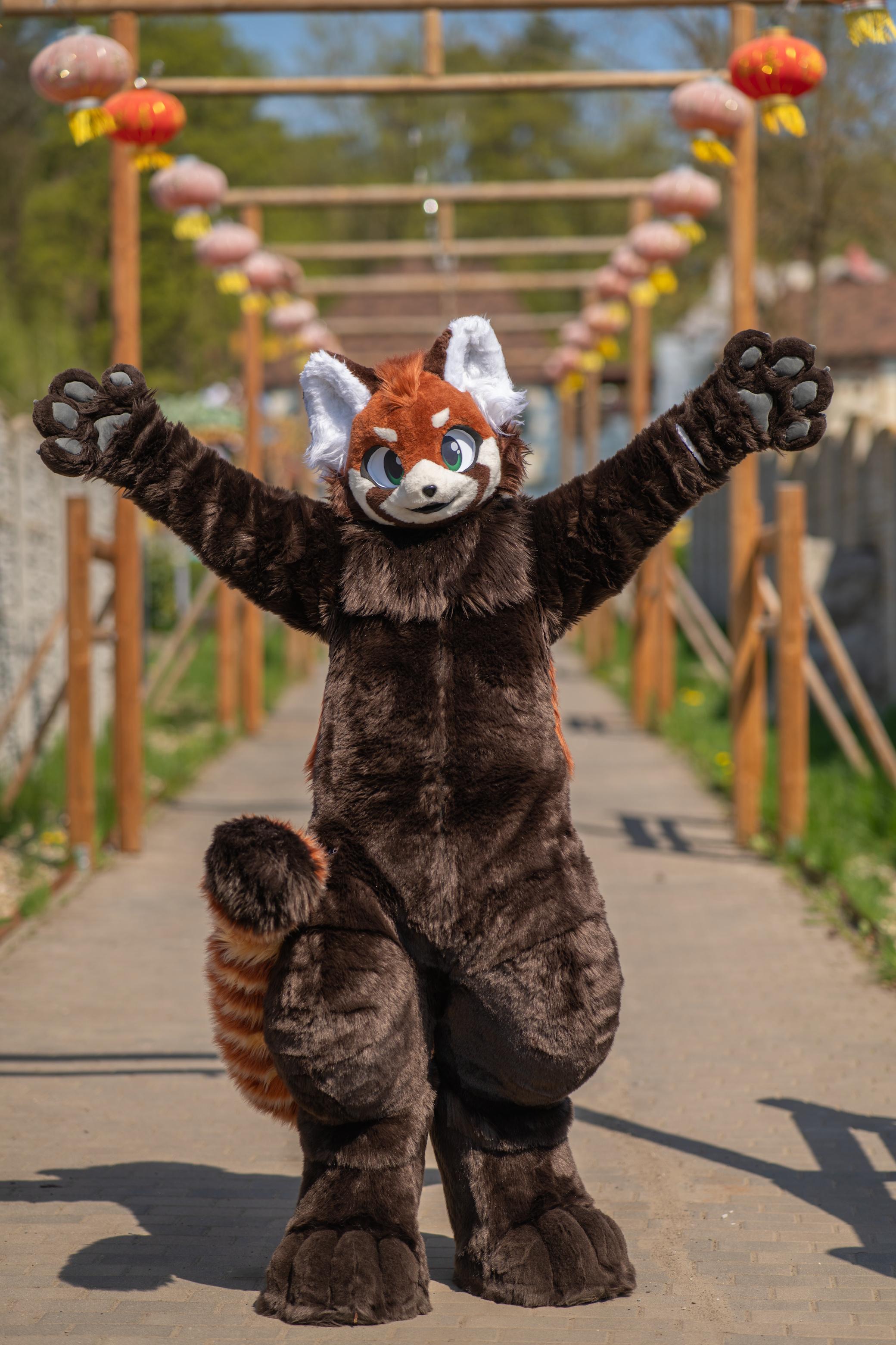 A red panda fursuiter with green eyes stands on a paved path with both arms raised and spread wide. The fursuit has dark brown fur, a red and white face, large pointed ears, oversized paws, and a bushy striped tail. Behind the fursuiter is a wooden walkway decorated with rows of red, pink, and yellow lanterns, with trees and rustic buildings in the background. The scene is brightly lit by sunlight.