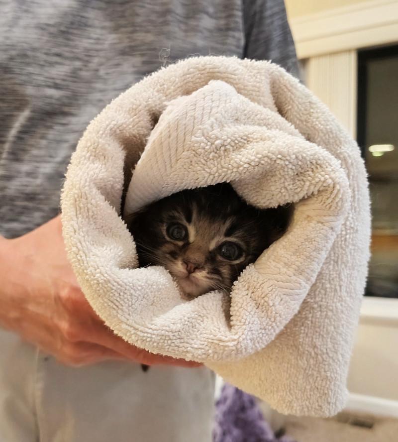 Feeling safe and snuggly.