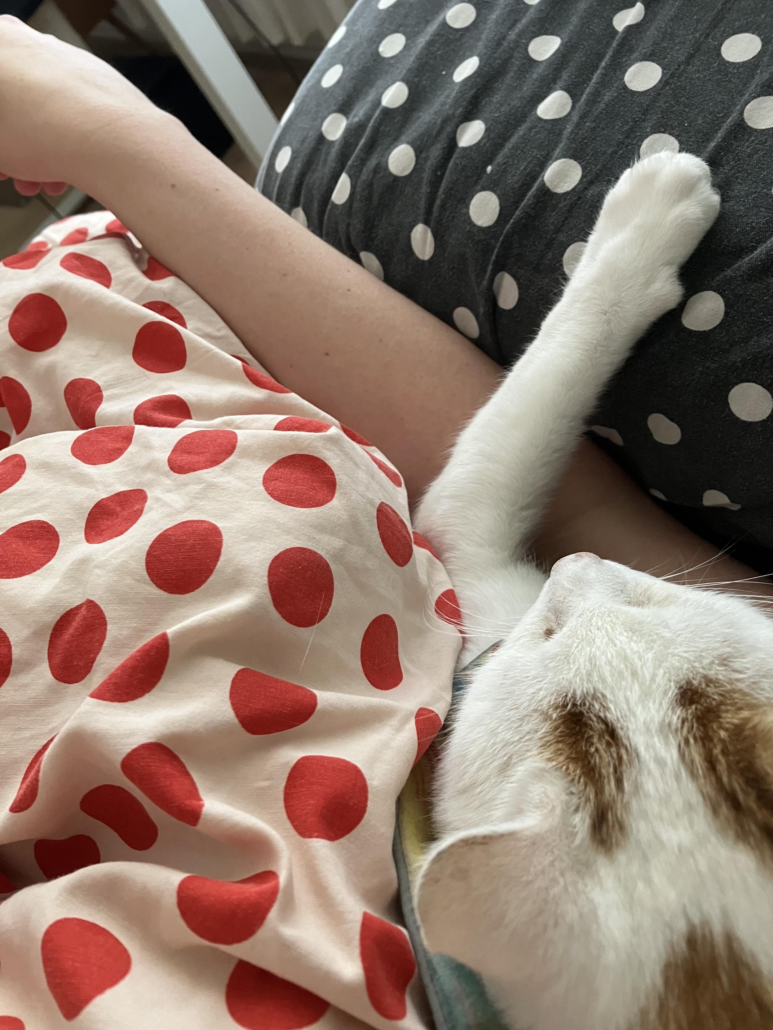 Today we stay in bed. I have decided.