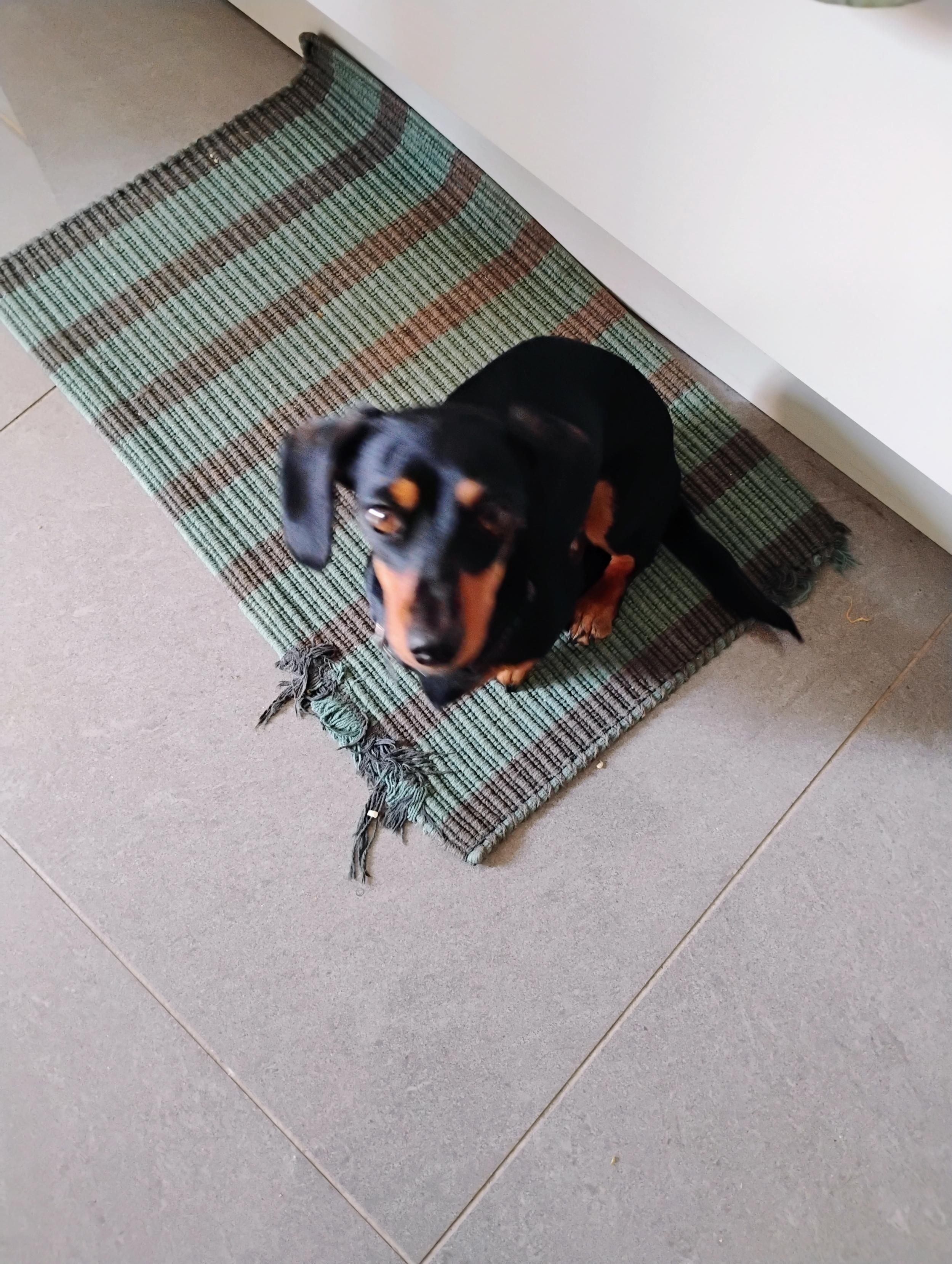 Cheese?