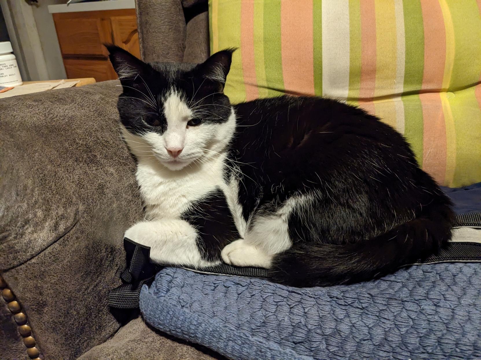 Just Lester being his usual black'a'white self.