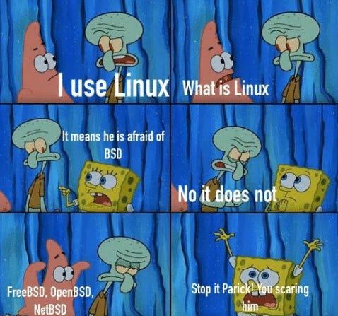 When you say ‘I use Linux’ and accidentally summon the entire BSD family.