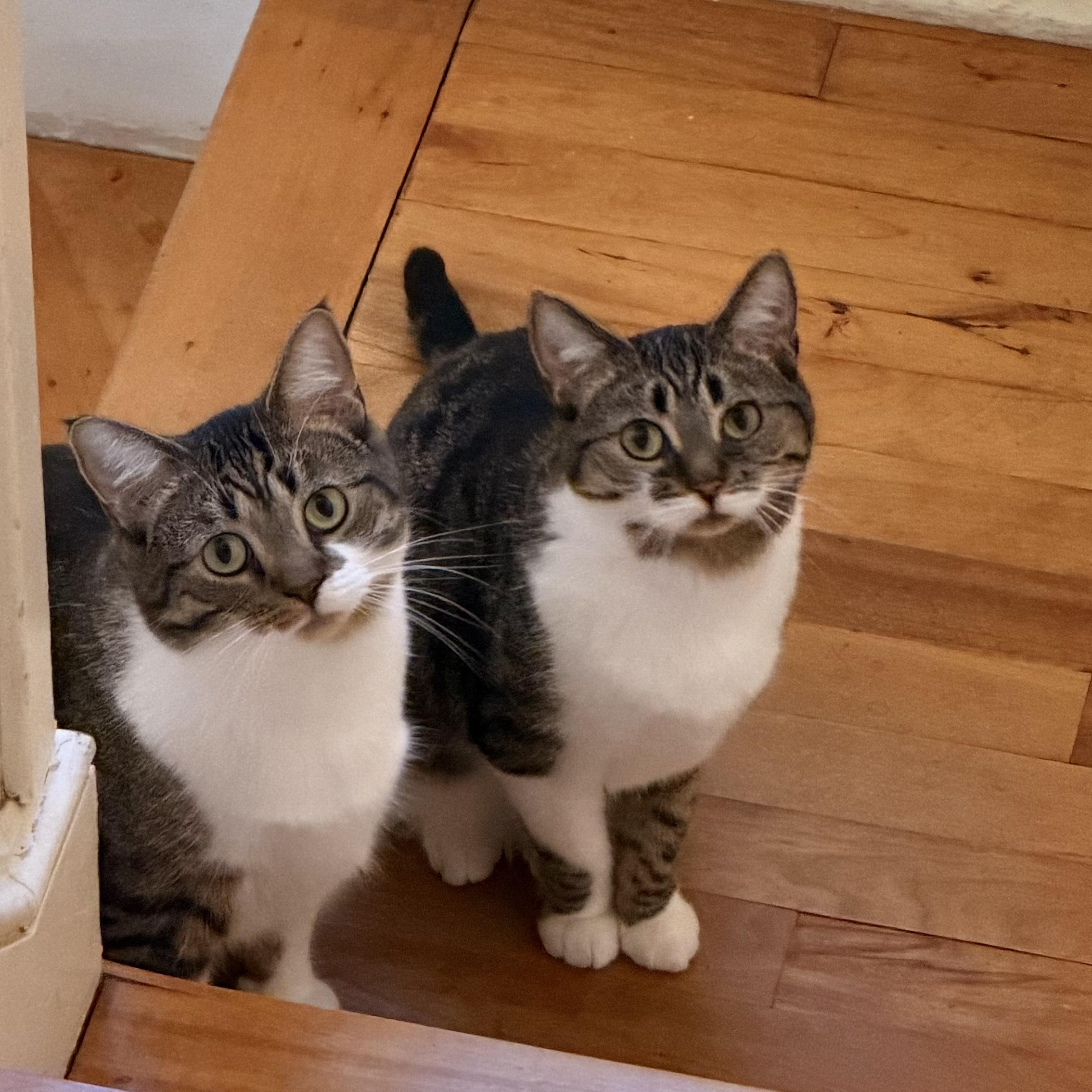 Goons on the landing.