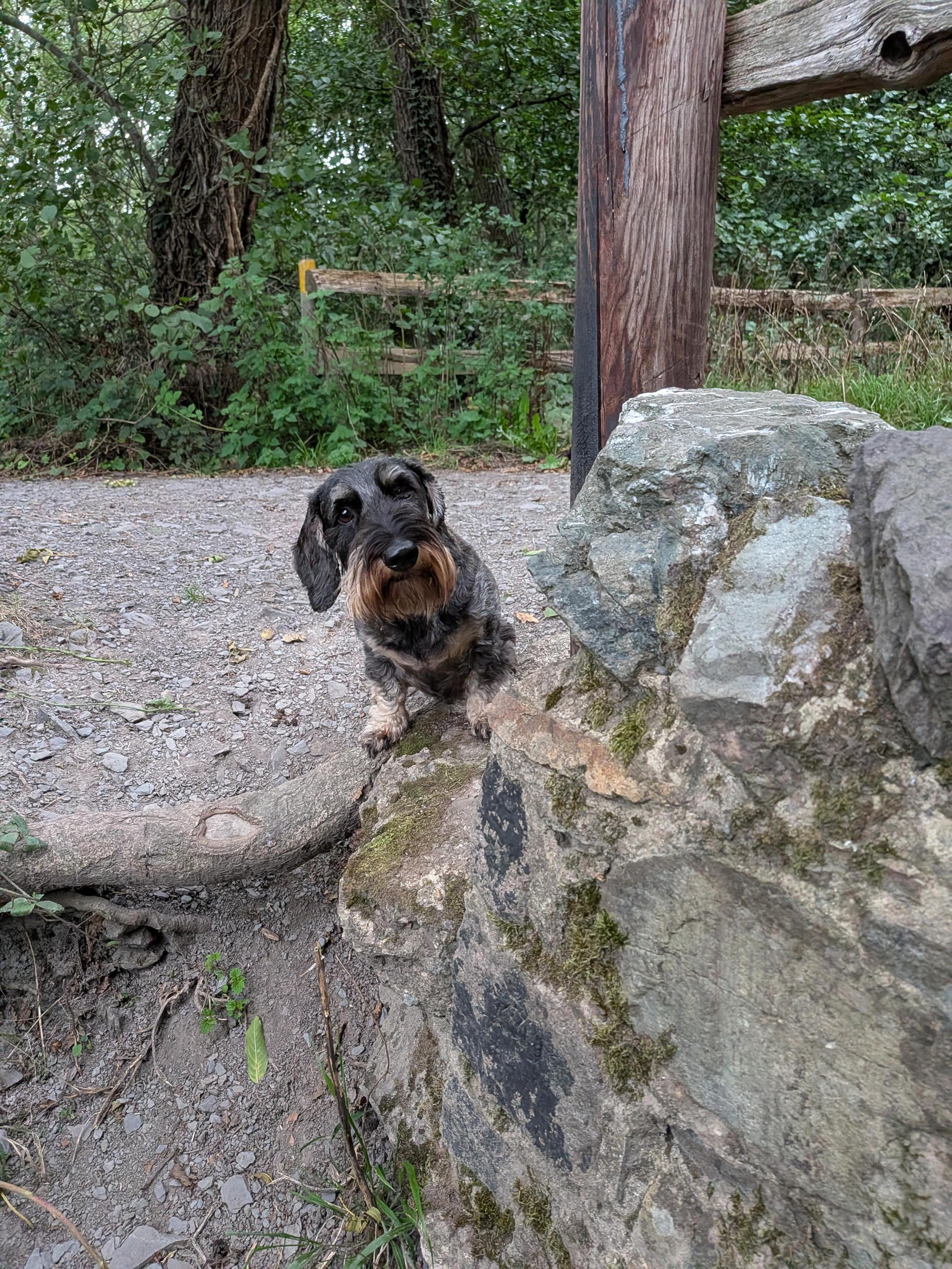 Whatchya doing down there dad?