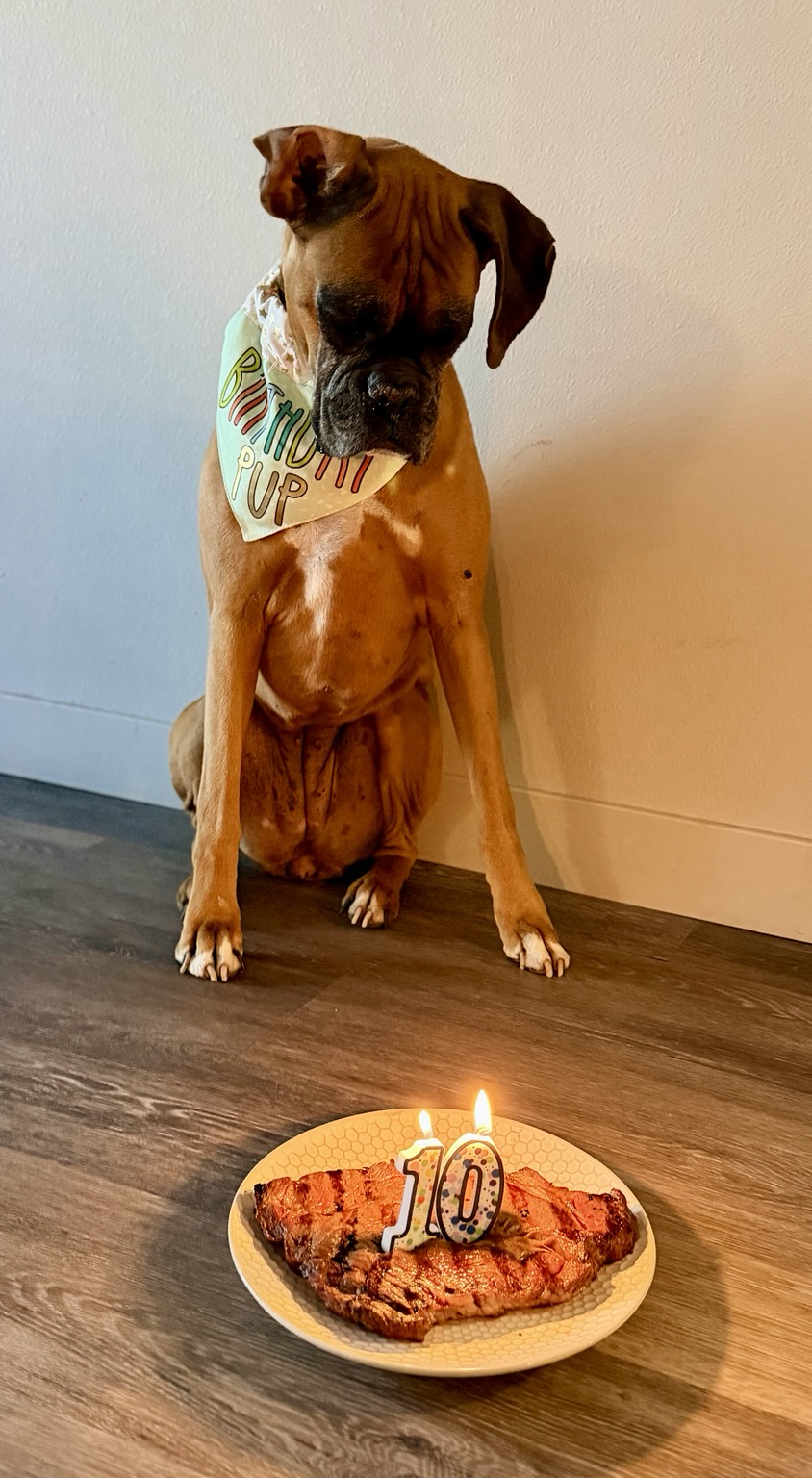 I turned 10 a month ago! Loving life.