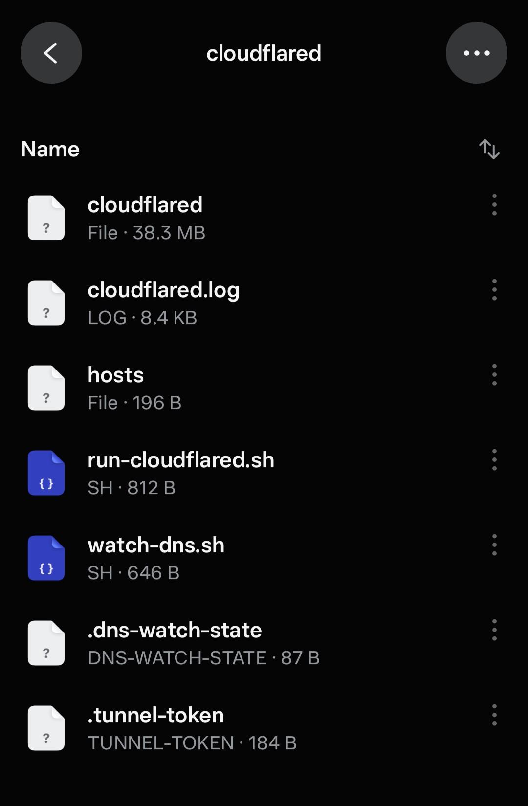the .tunnel-token is just sitting here in plain text in the cloudflared directory