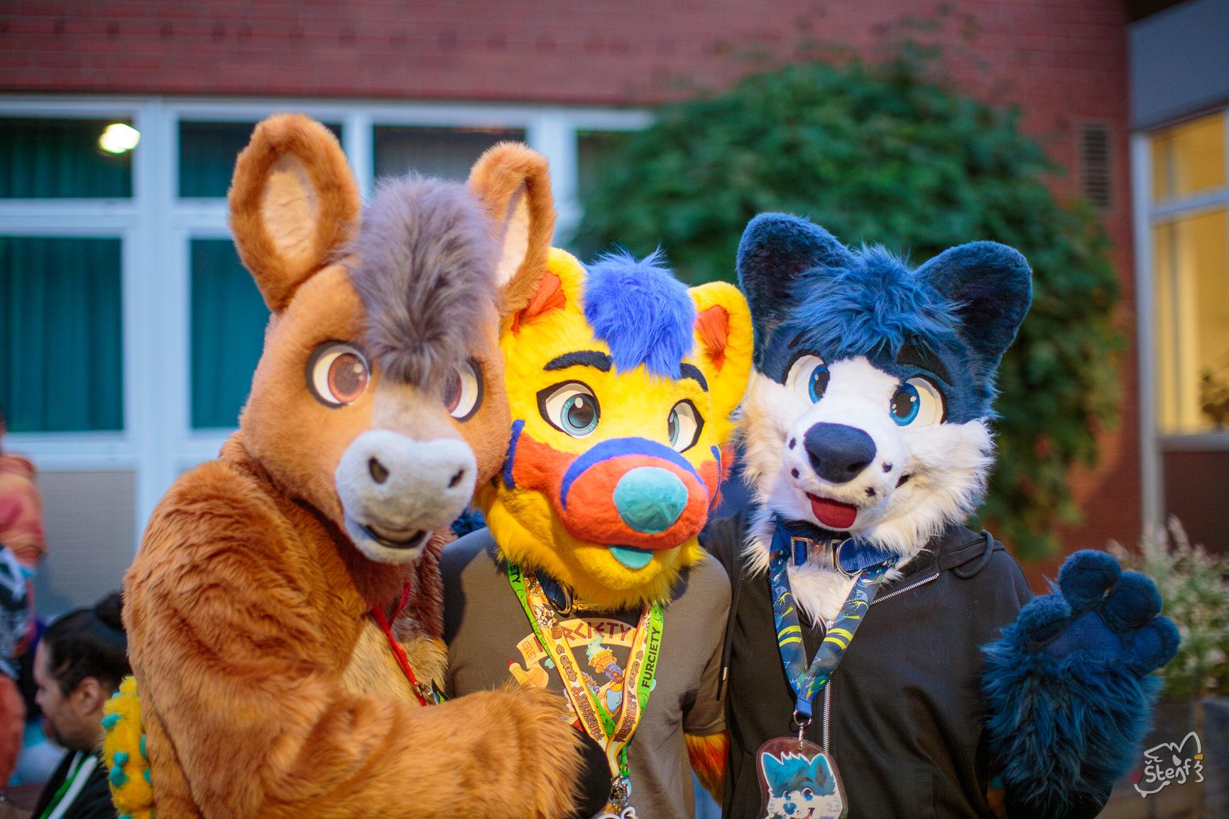A photo taken during the Furciety meet, Oer-Erkenschwick May 2026