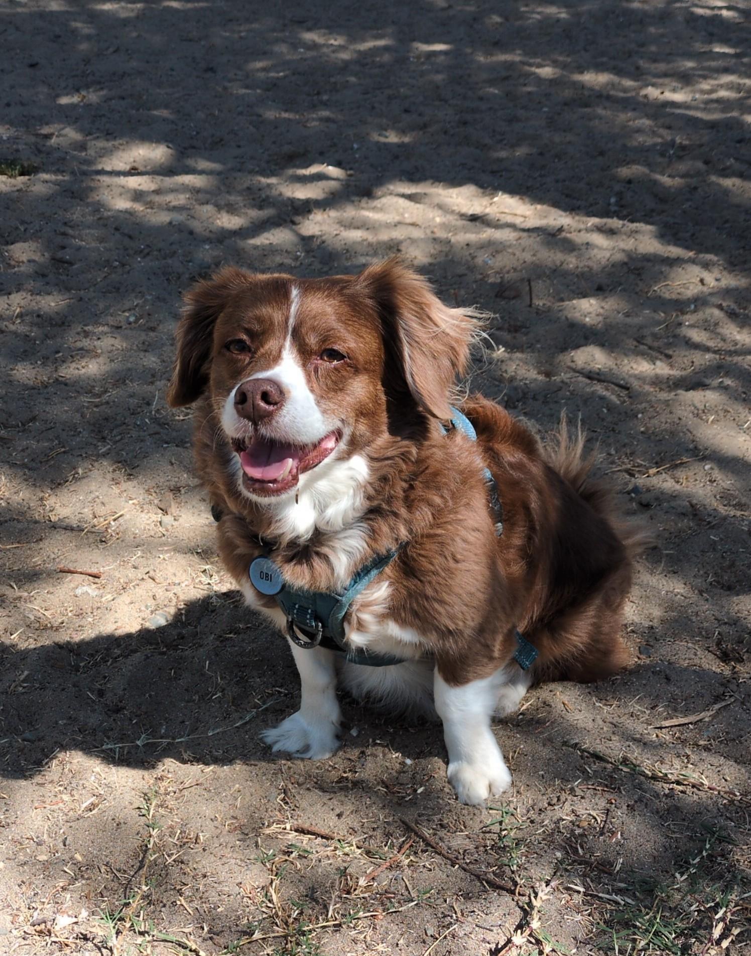 Happy Friday from a very charming little gentleman