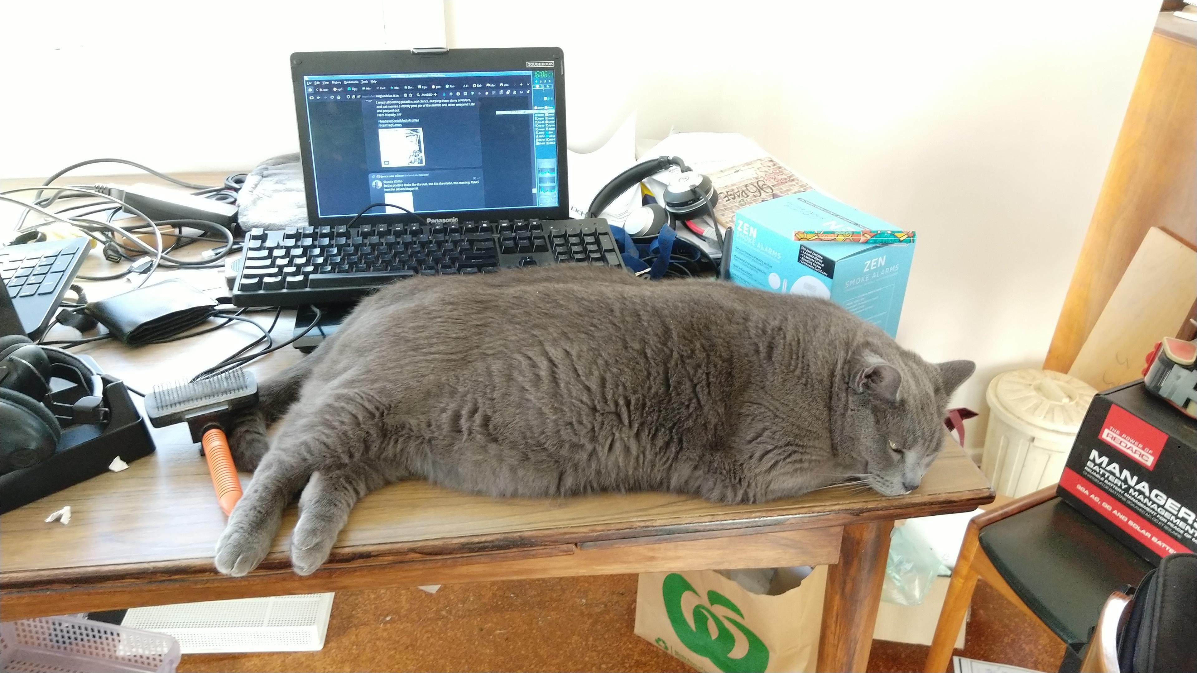 "No I don't want you playing with NetBSD, my attention requirements are greater."