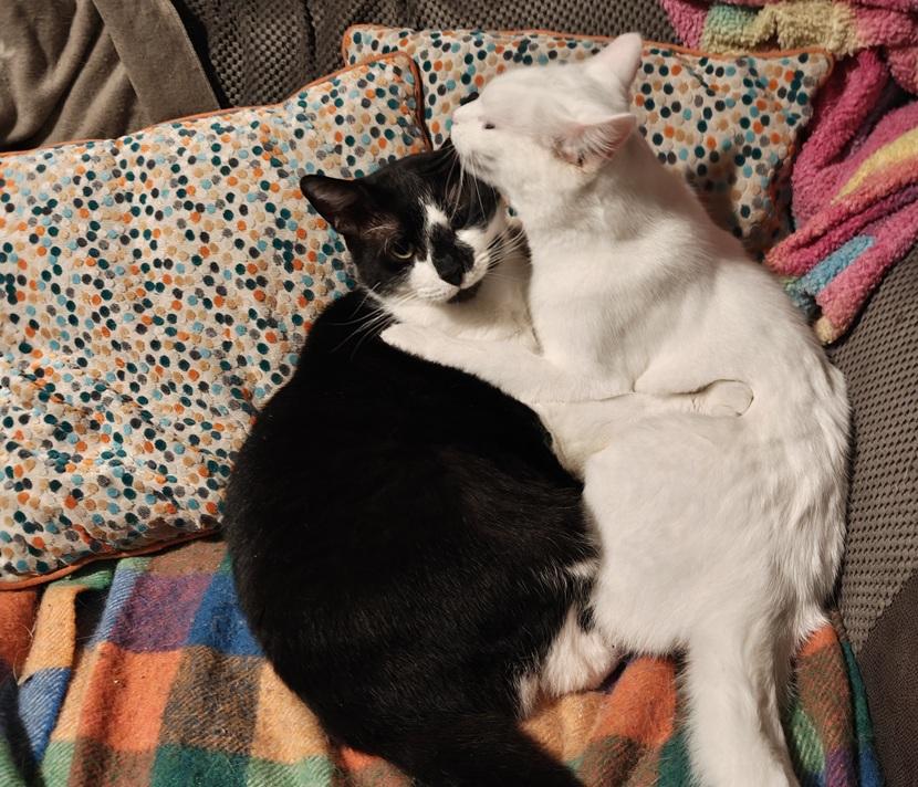 Kaliyo takes such good care of her big brother.
