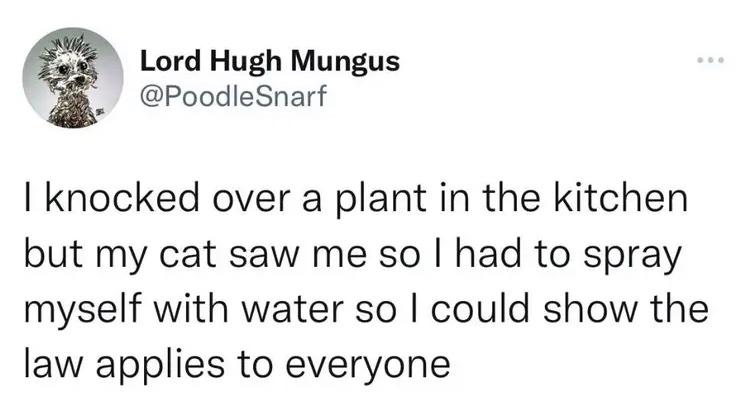 From Lord Hugh Mungus (@PoodleSnarf) I knocked over a plant in the kitchen but my cat saw me so I had to spray myself with water so I could show the law applies to everyone.