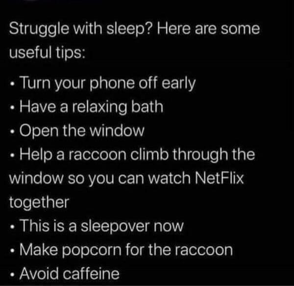 What might a racoon enjoy watching, though… :blobcatthonking: