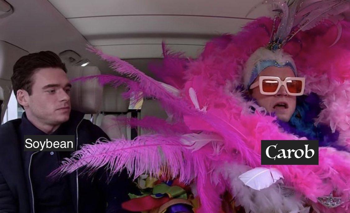 Rocketman meme. Inside luxury car. Actor Richard Madden is on the left dressed in a very plain casual black shirt and black jacket. Taron Egerton, playing Elton John, is on the right wearing hot pick ostrich feathers and a Vegas showgirl style headdress with rose-tinted glasses in square chunky light pink frames. Madden is labeled "Soybean" in plain sans serif font, the flamboyant Elton John character is labeled "Carob" in a more decorative serif font.
