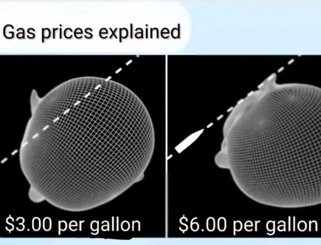 A meme titled "Gas prices explained". There are 2 panels. One is labled "$3.00 per gallon" and shows a bullet trajectory going through a skull. The second pane…