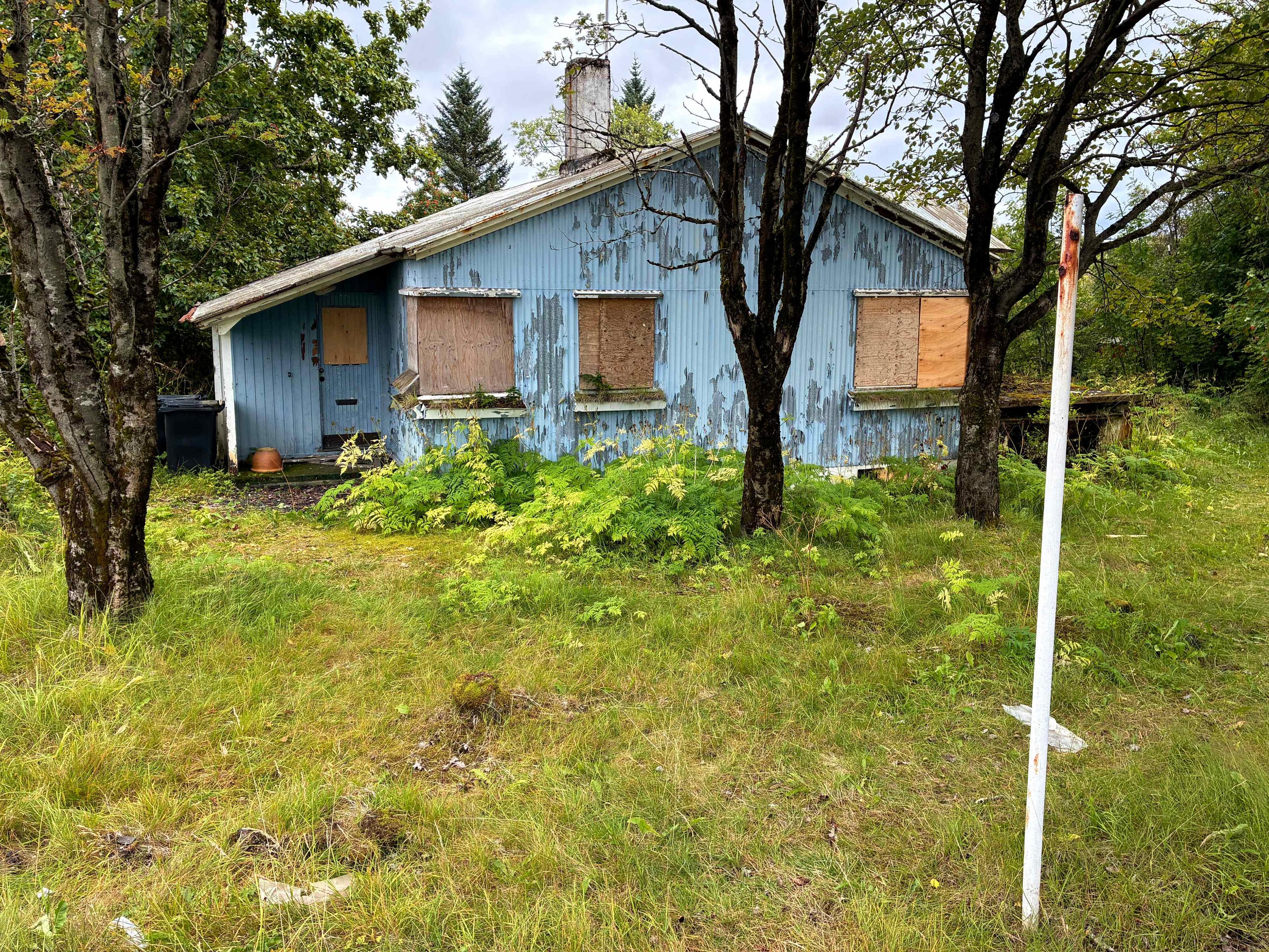 An abandoned blue house surrounded by trees.