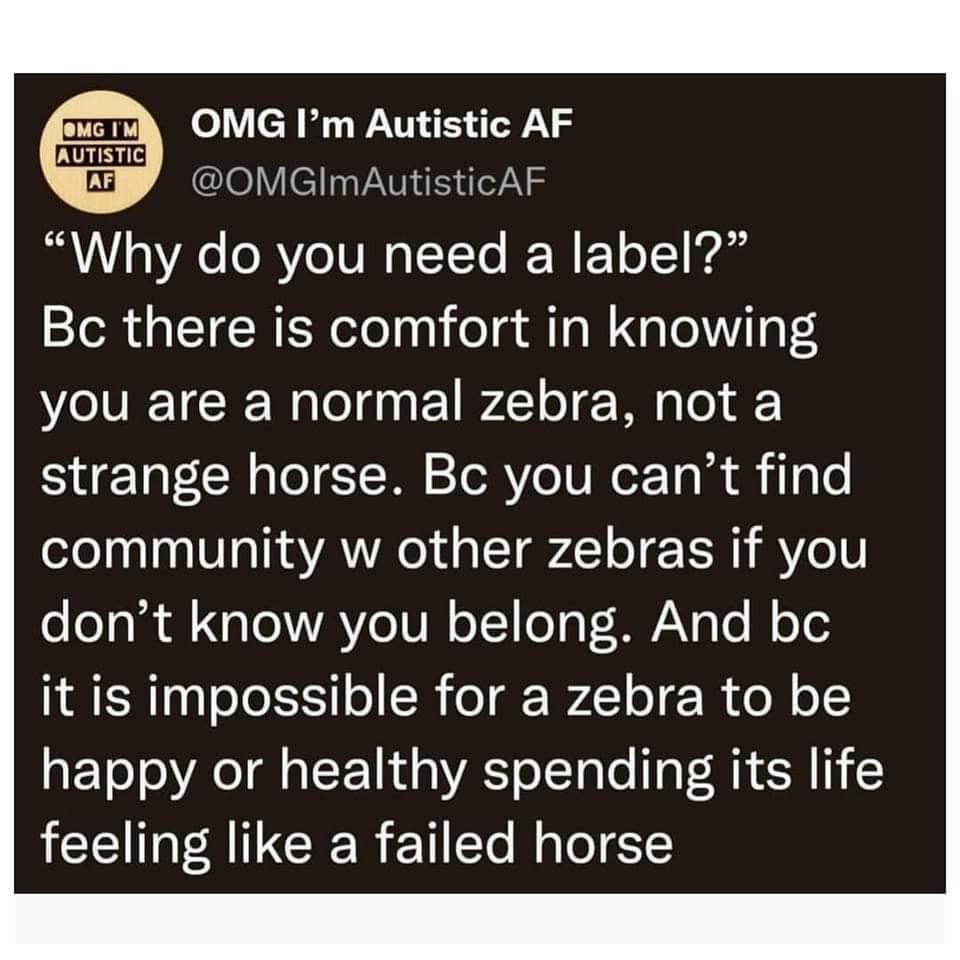 Finally a good explanation. 🦓