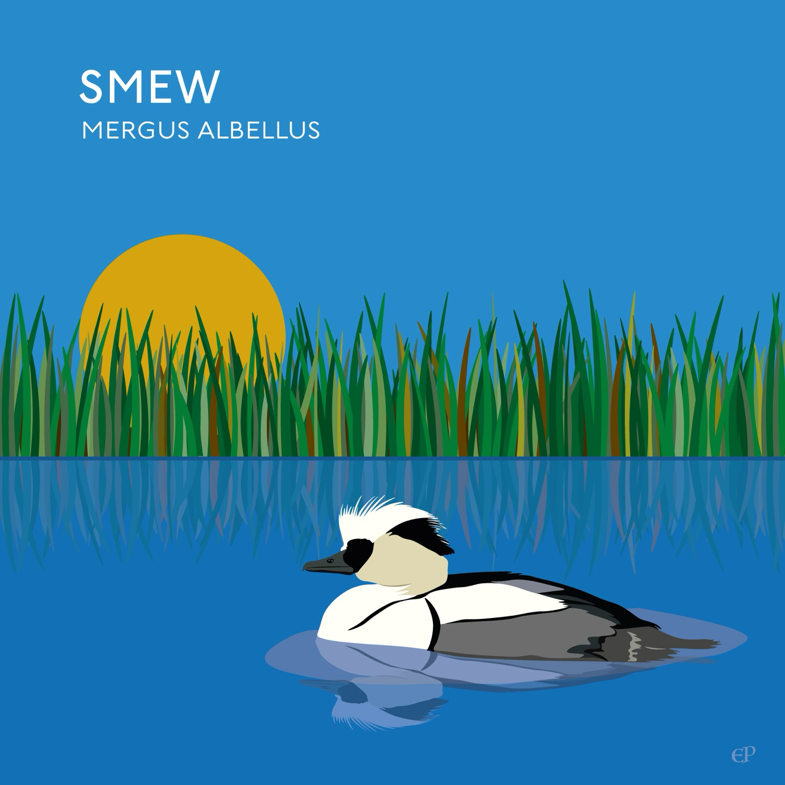 Smew