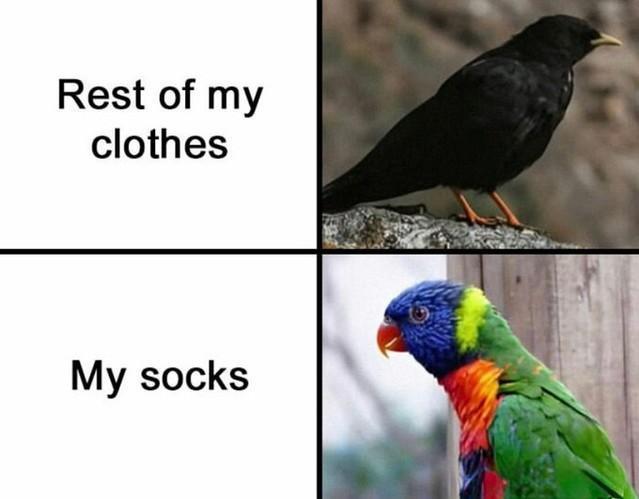 I too like my socks colourful