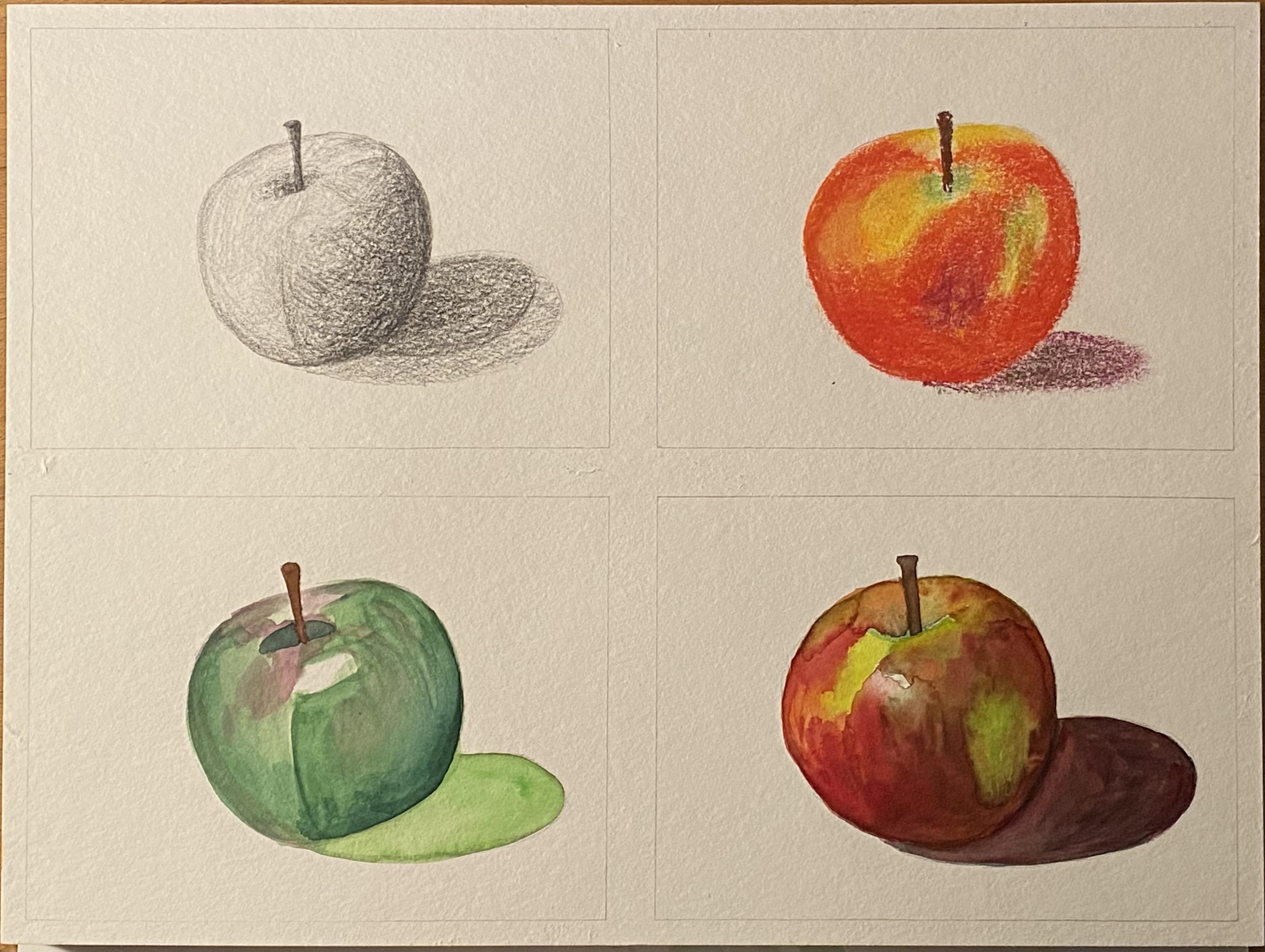 Ein Blatt mit vier Feldern, auf denen je ein Apfel zu sehen ist: *oben links als Schattenstudie gezeichnet in schwarz weiß *oben rechts als Farbstudie mit Pastellkreiden gemalt mit rot und gelb *unten links als Schattenstudie mit Aquarellfarben gemalt mit Grüntönen und grünem Schatten *unten links mit Aquarellfarben gemalt mit Schatten und rot- und Gelbtönen