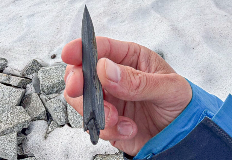 Stone Age Arrow – Now the Stone Age Is Melting Out